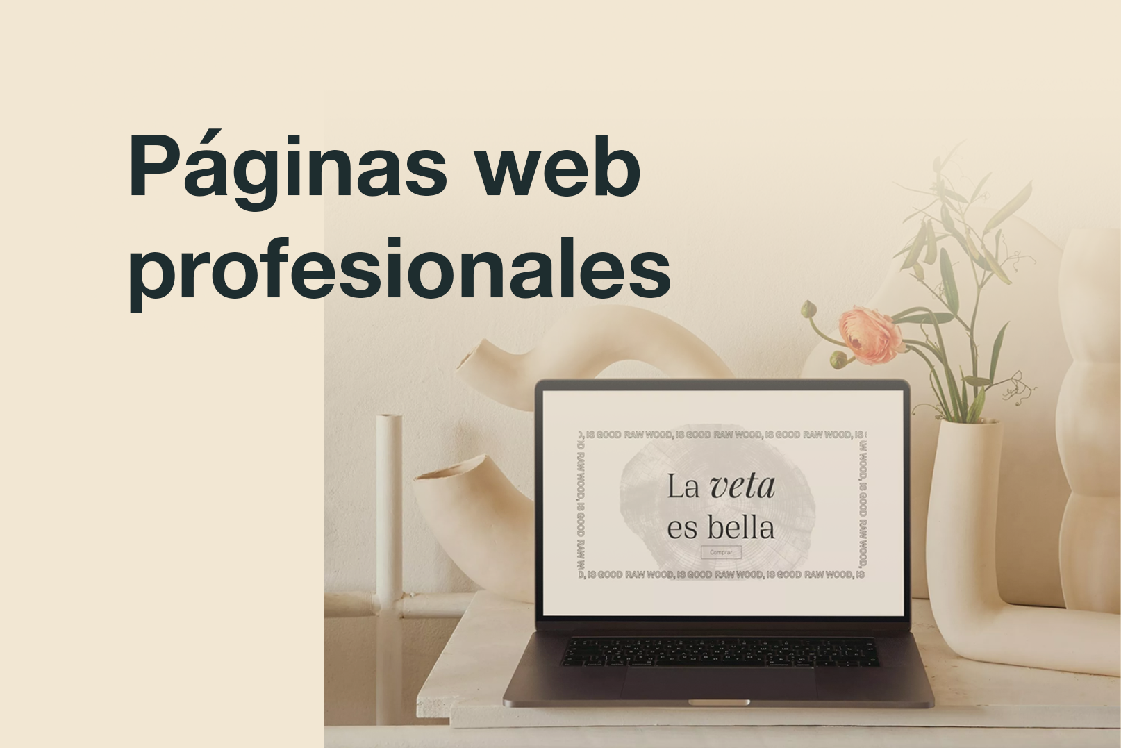 3 Ejemplos de páginas web 10/10 [Profesionales]