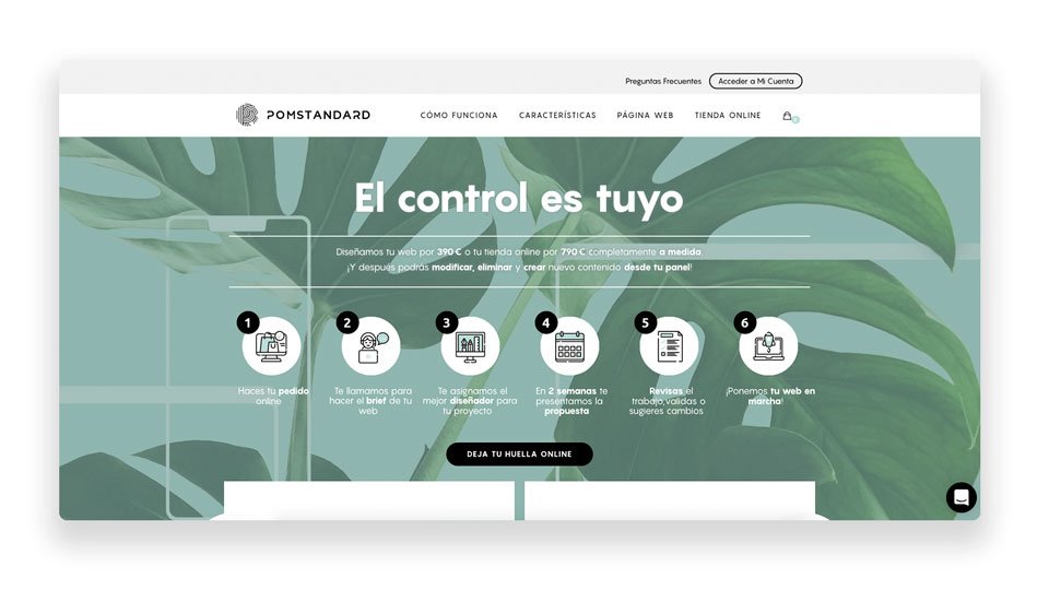 Presentar servicios de manera original en web