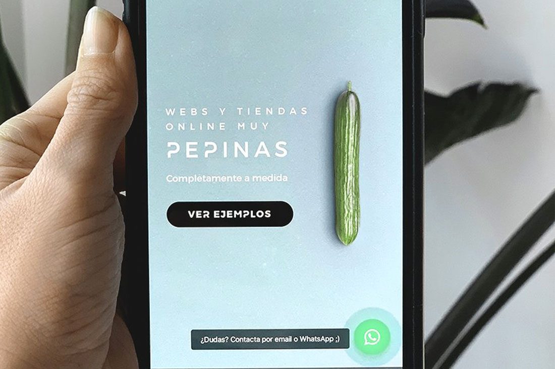 Cómo poner WhatsApp Business en una web