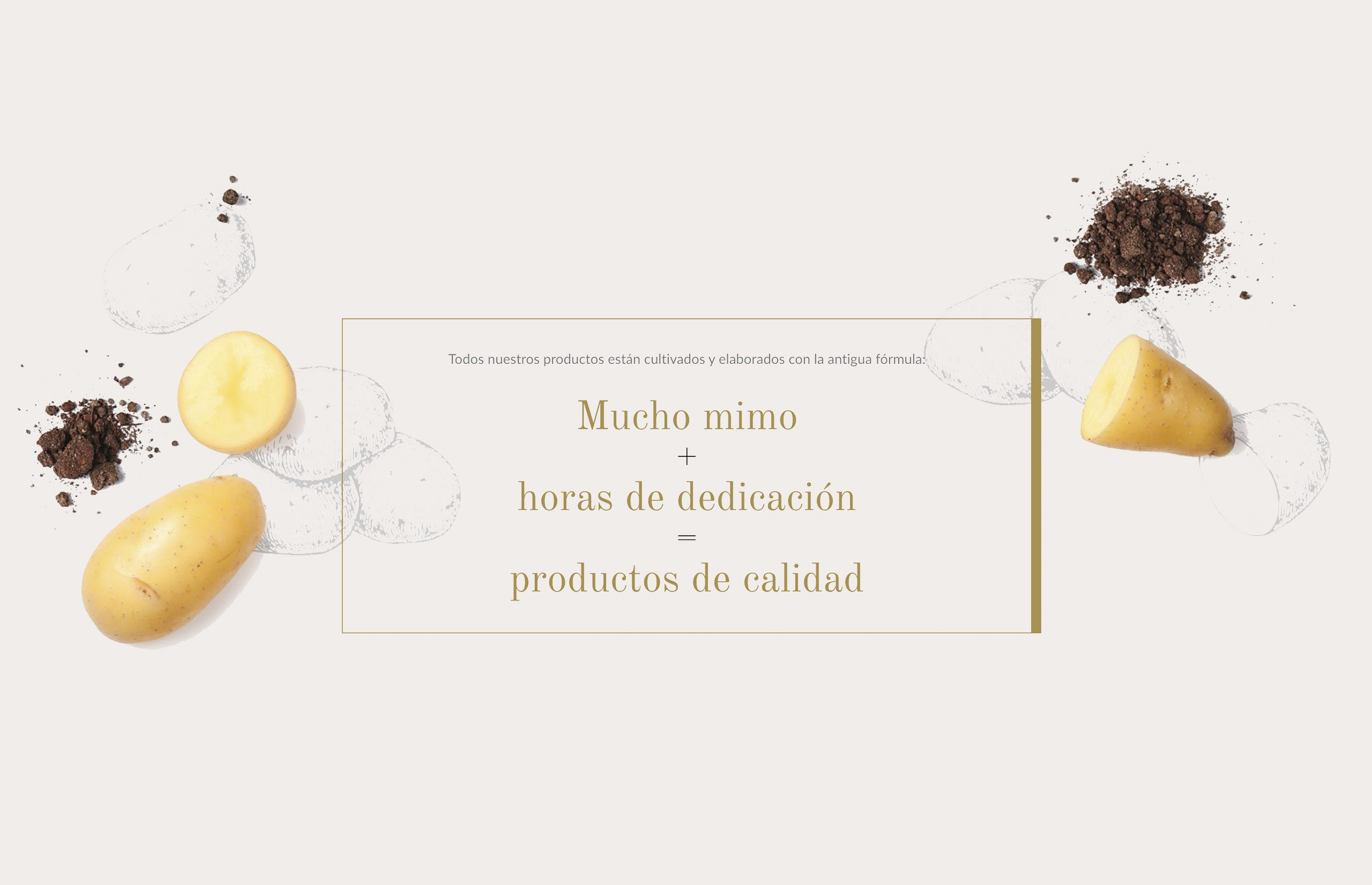 ▷ Ejemplo de página web para productos gourmet [A medida]