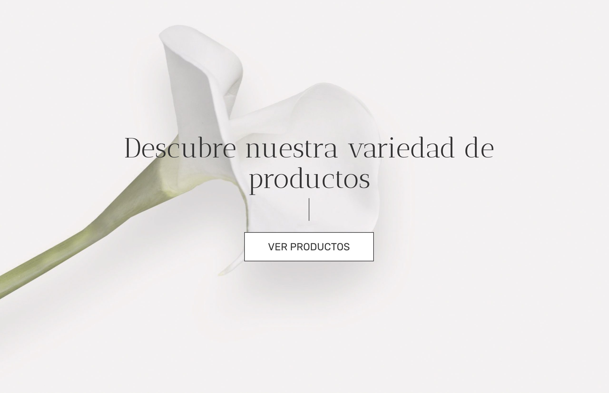 ▷ Ejemplo de página web para decoración [A medida]