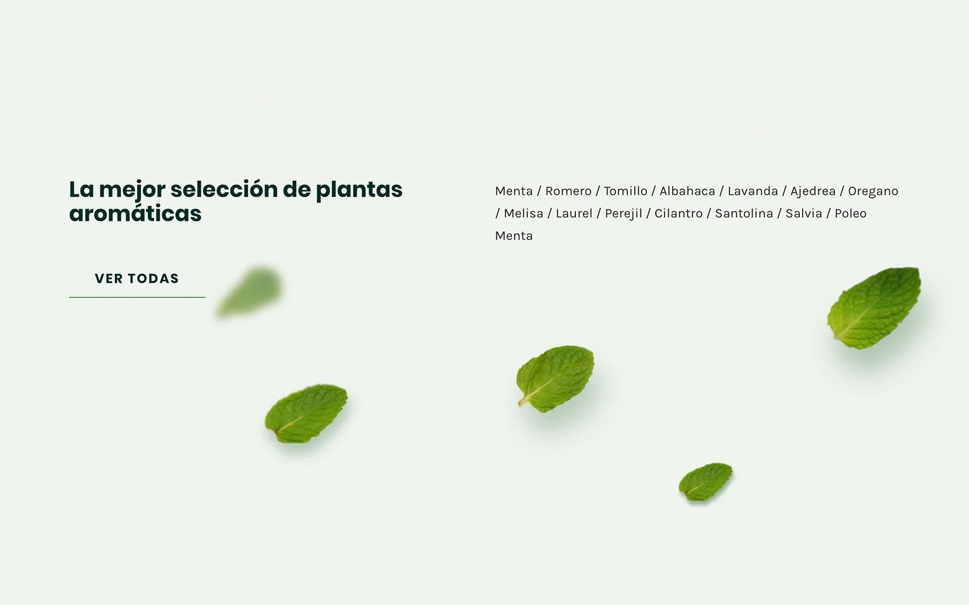 ▷ Ejemplo de página web para viveros y floristerías [A medida]