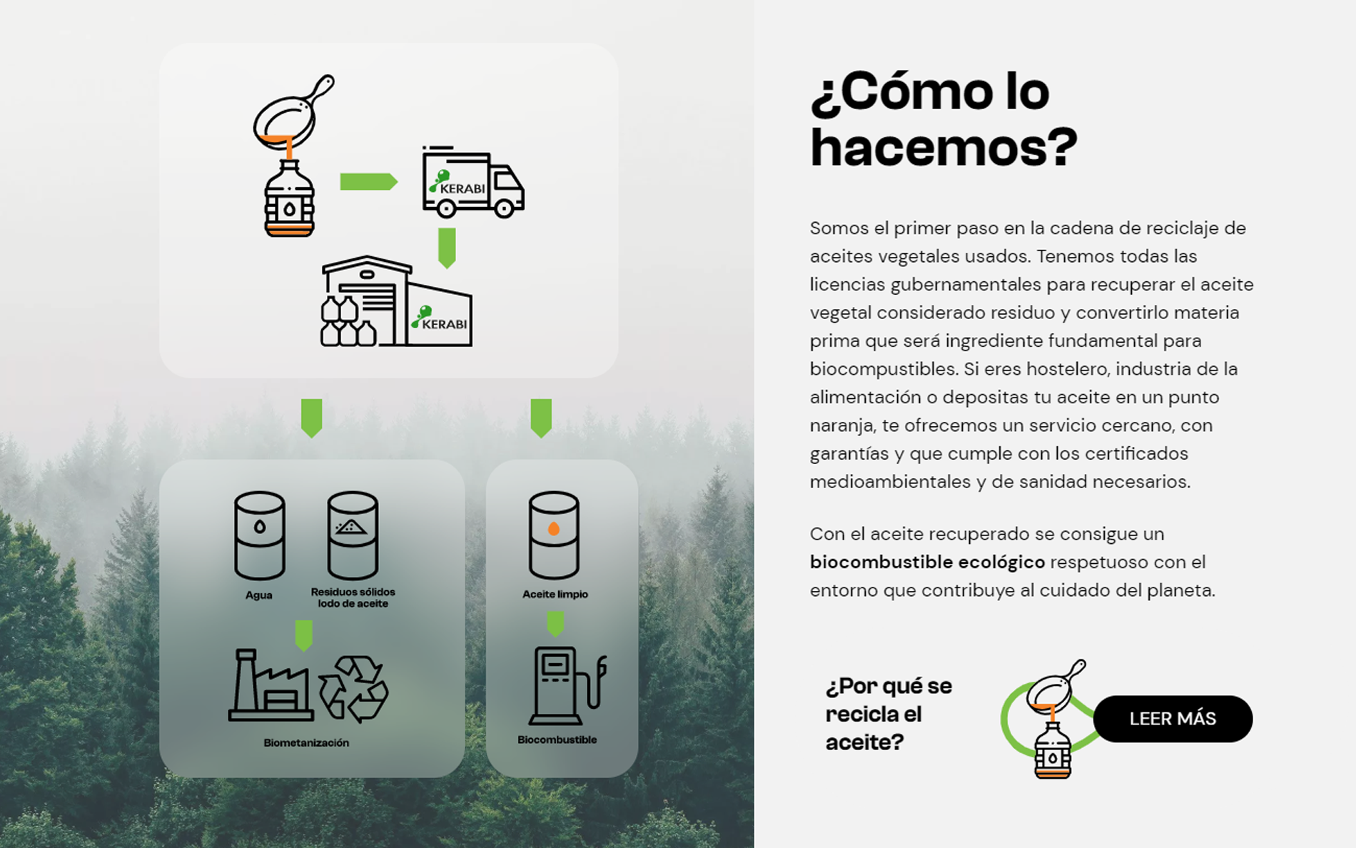 ▷ Ejemplo de página web de gestión medioambiental [A medida]