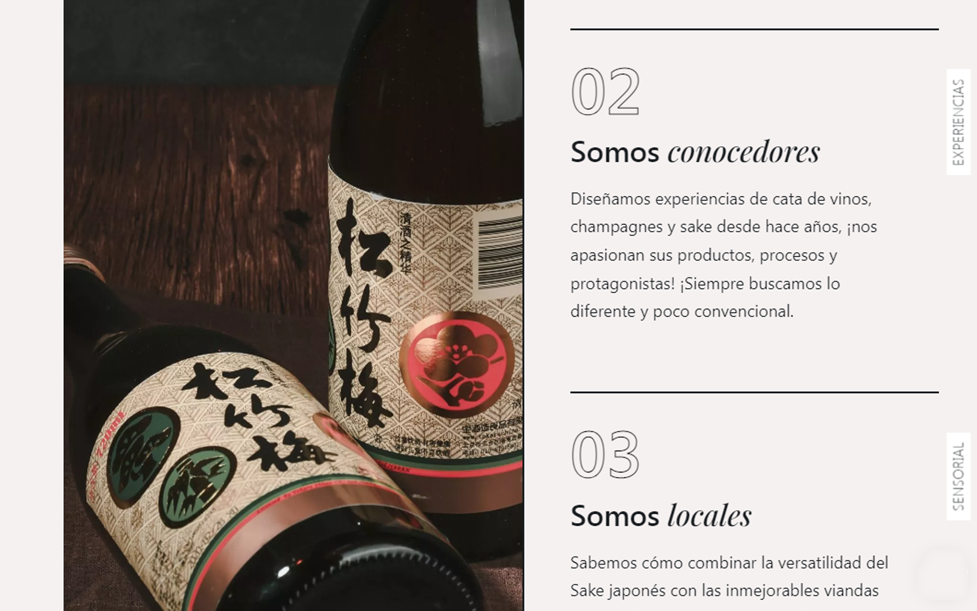 ▷ Ejemplo de página web para cata de vino [A medida]