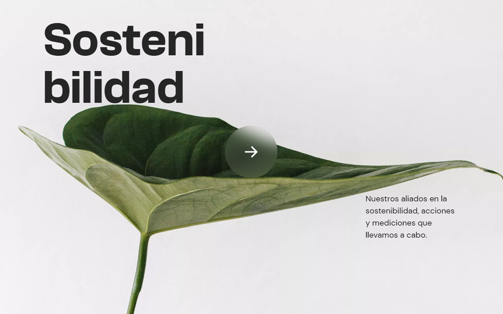 ▷ Ejemplo de página web para gestión medioambiental [A medida]