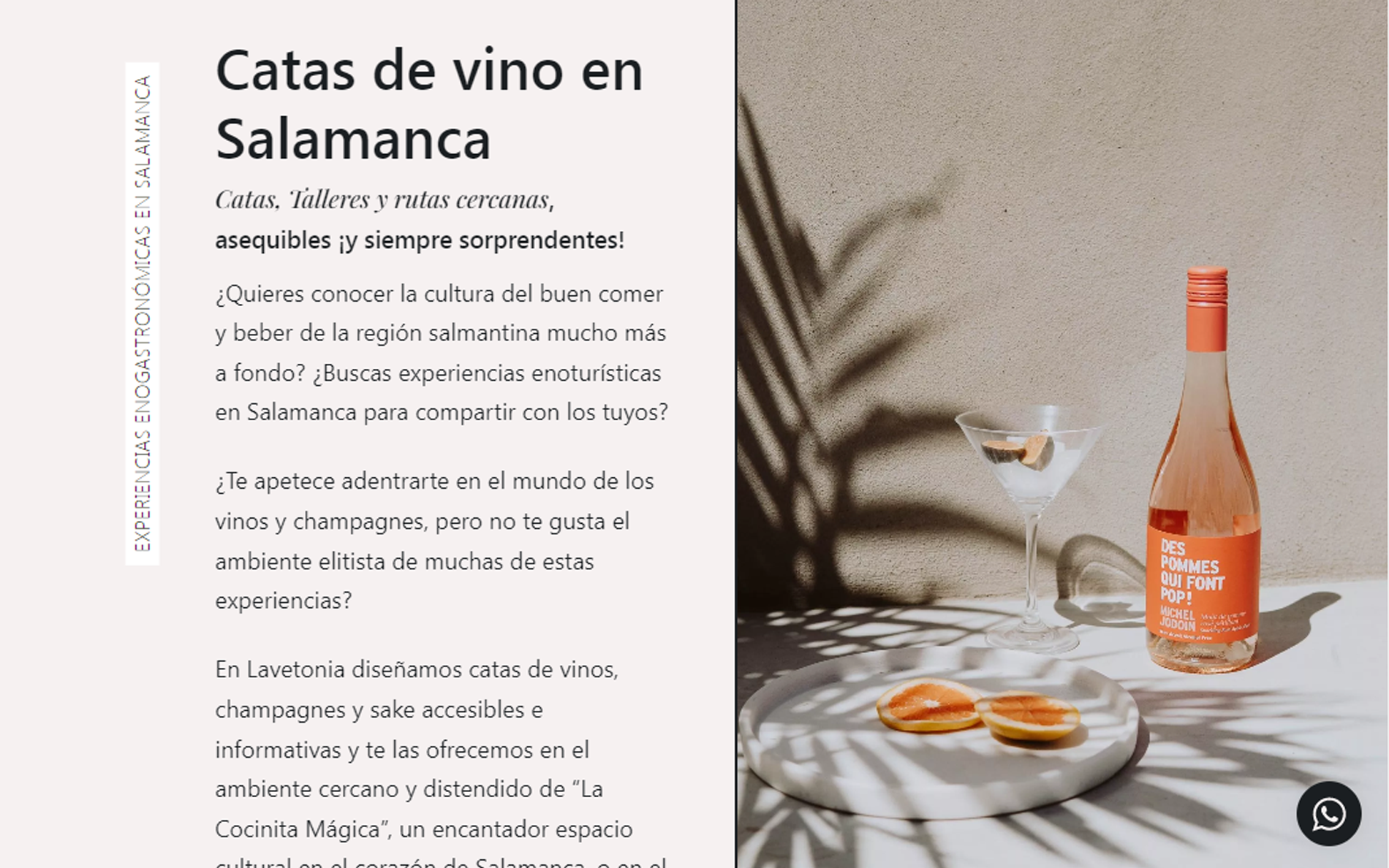 ▷ Ejemplo de página web para cata de vino [A medida]