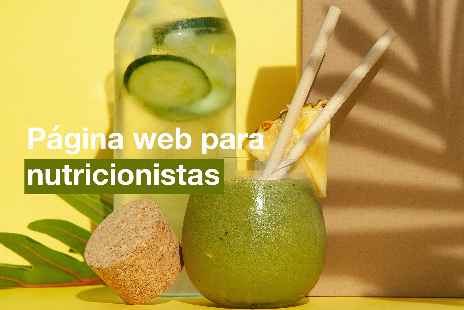 ▷ Diseño de página web para nutricionistas [A medida]