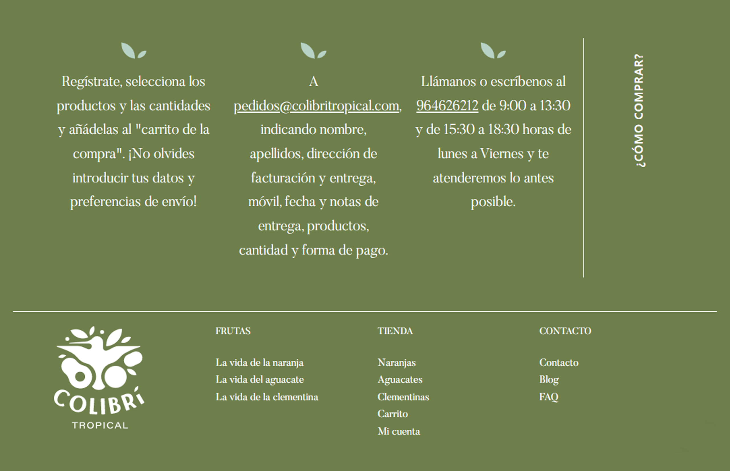 ▷ Ejemplo de página web para cultivo de cítricos [A medida]