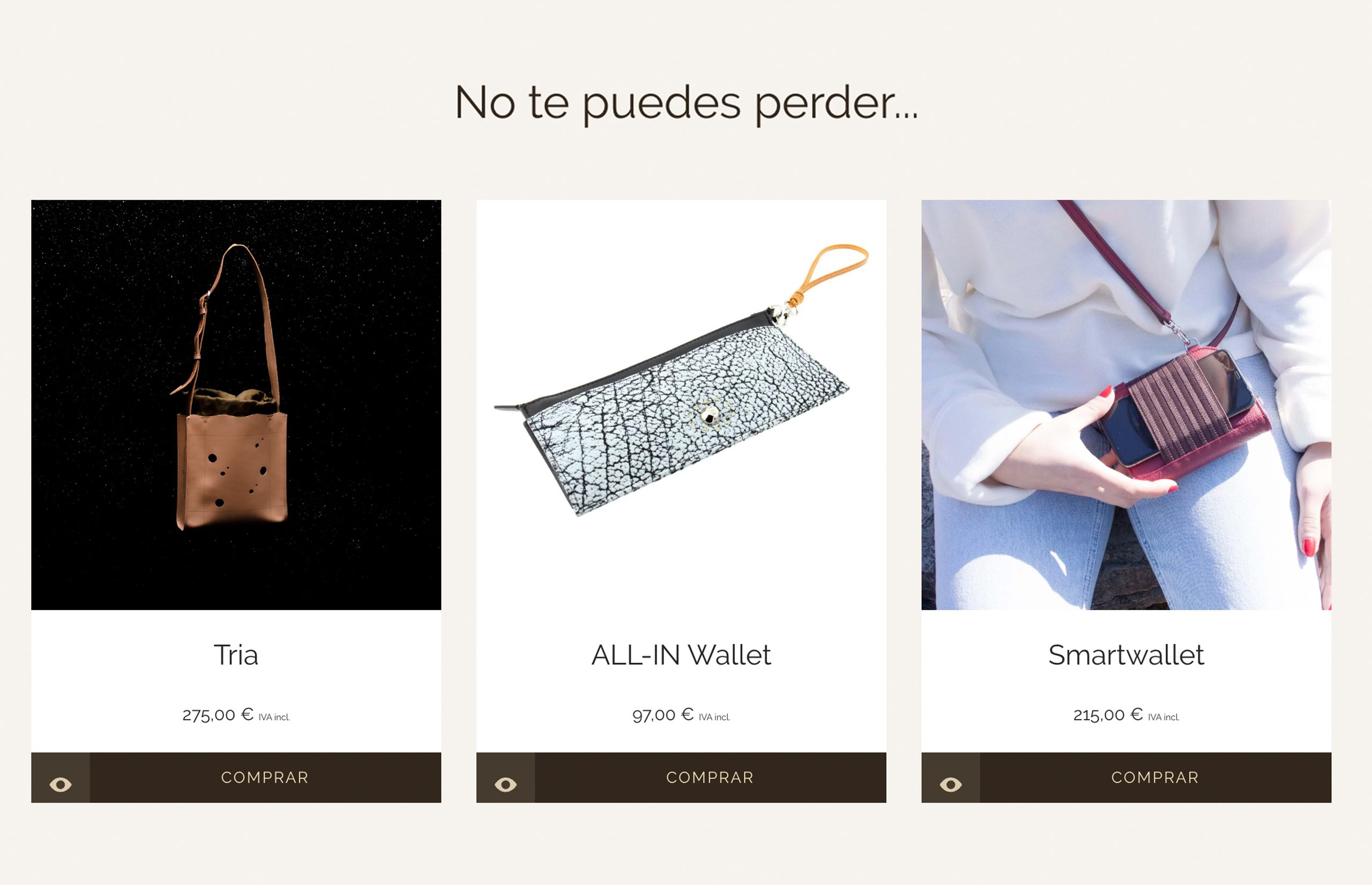 ▷ Ejemplo de página web para tiendas de moda [A medida]