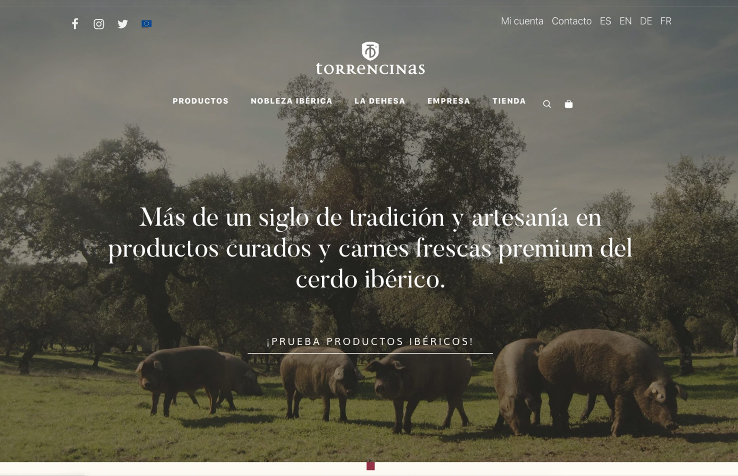 ▷ Ejemplo de página web para alimentación [A medida]