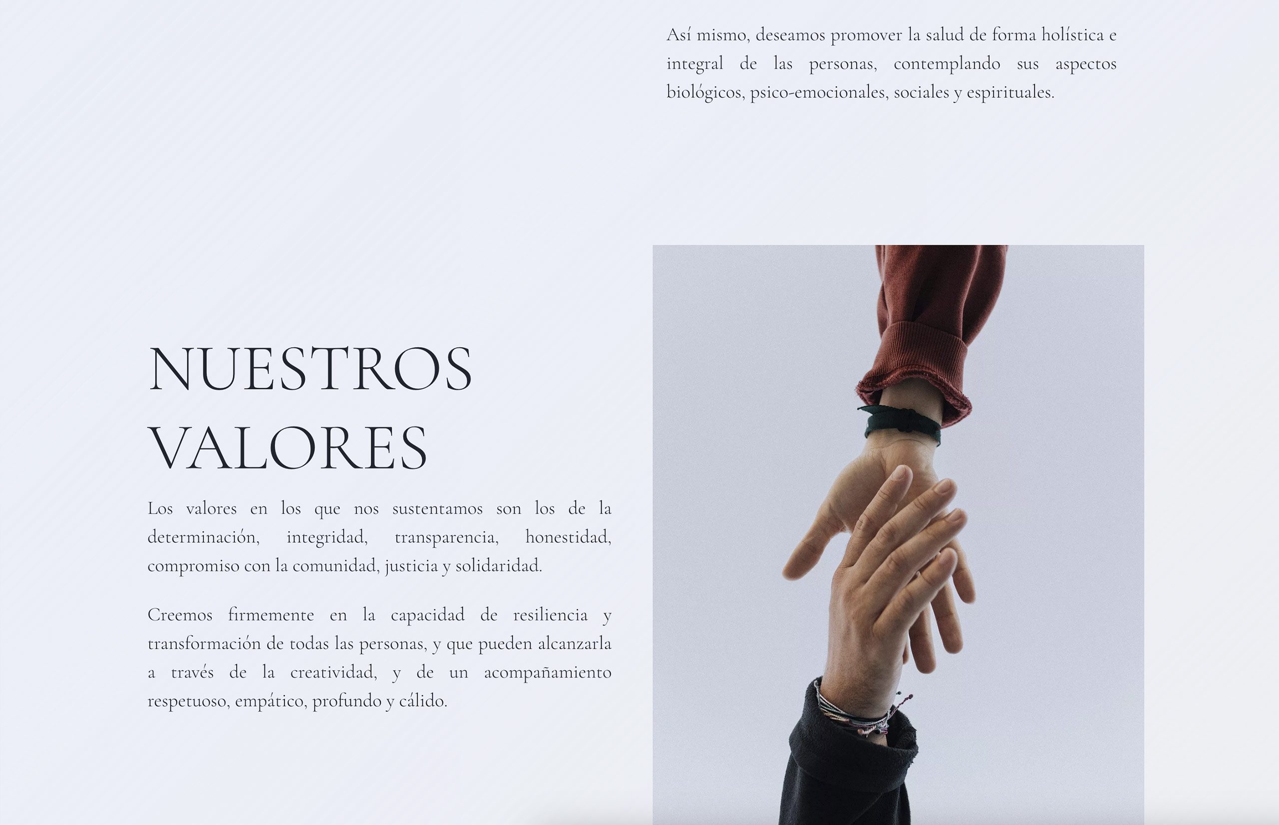 ▷ Ejemplo de página web para asociación sin ánimo de lucro [A medida]