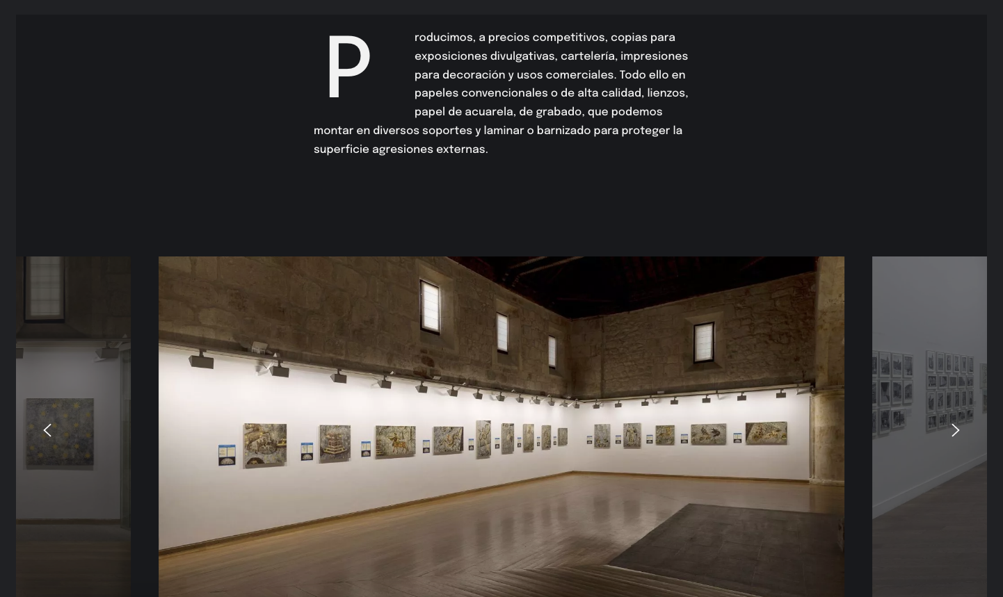 ▷ Ejemplo de página web para fotografía [A medida]