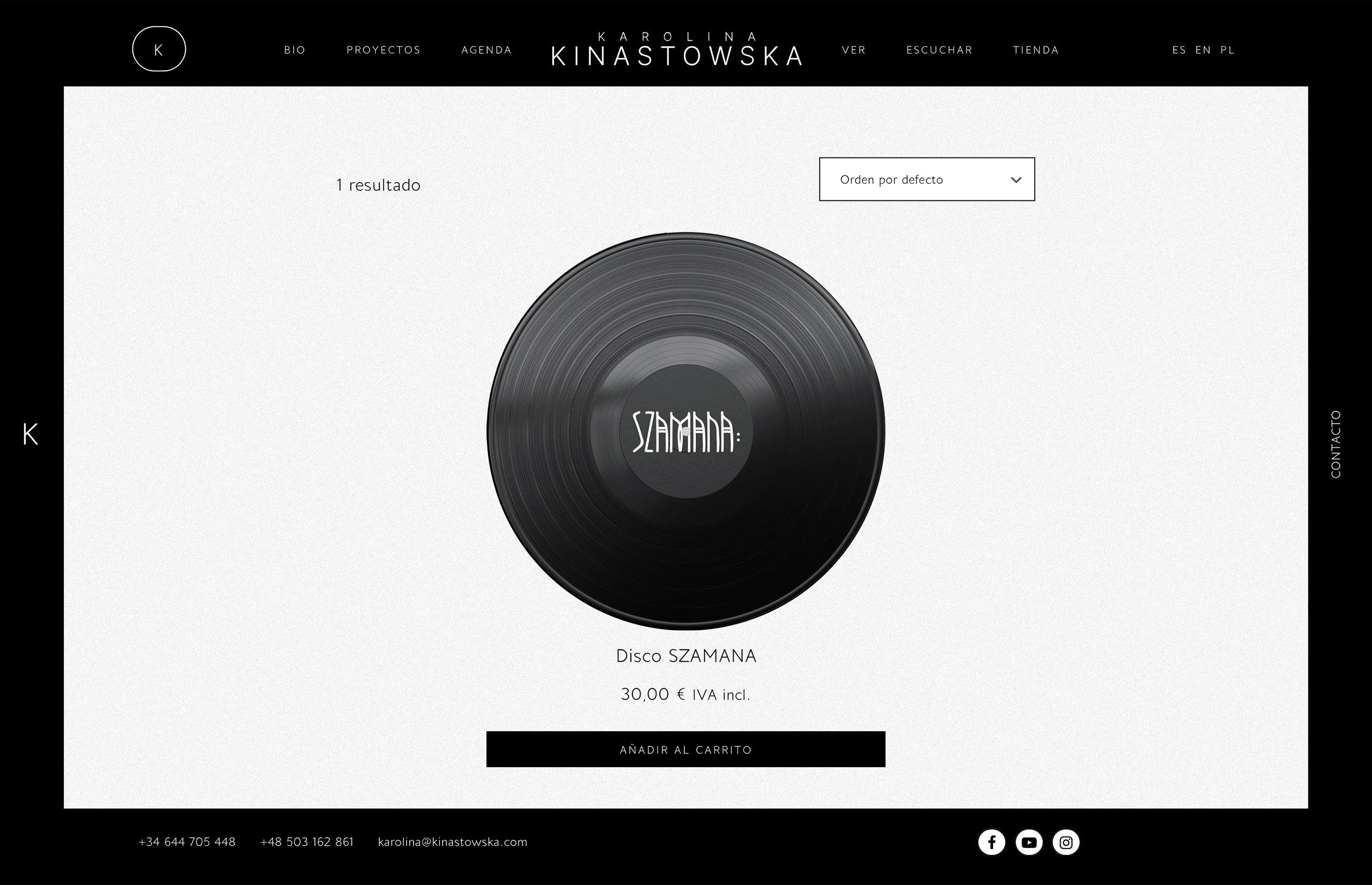 ▷ Ejemplo de página web para cantante [A medida]