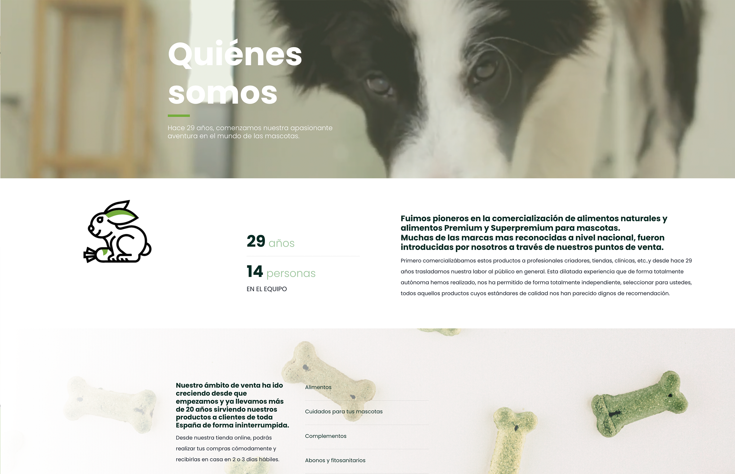 ▷ Ejemplo de página web para mascotas [A medida]