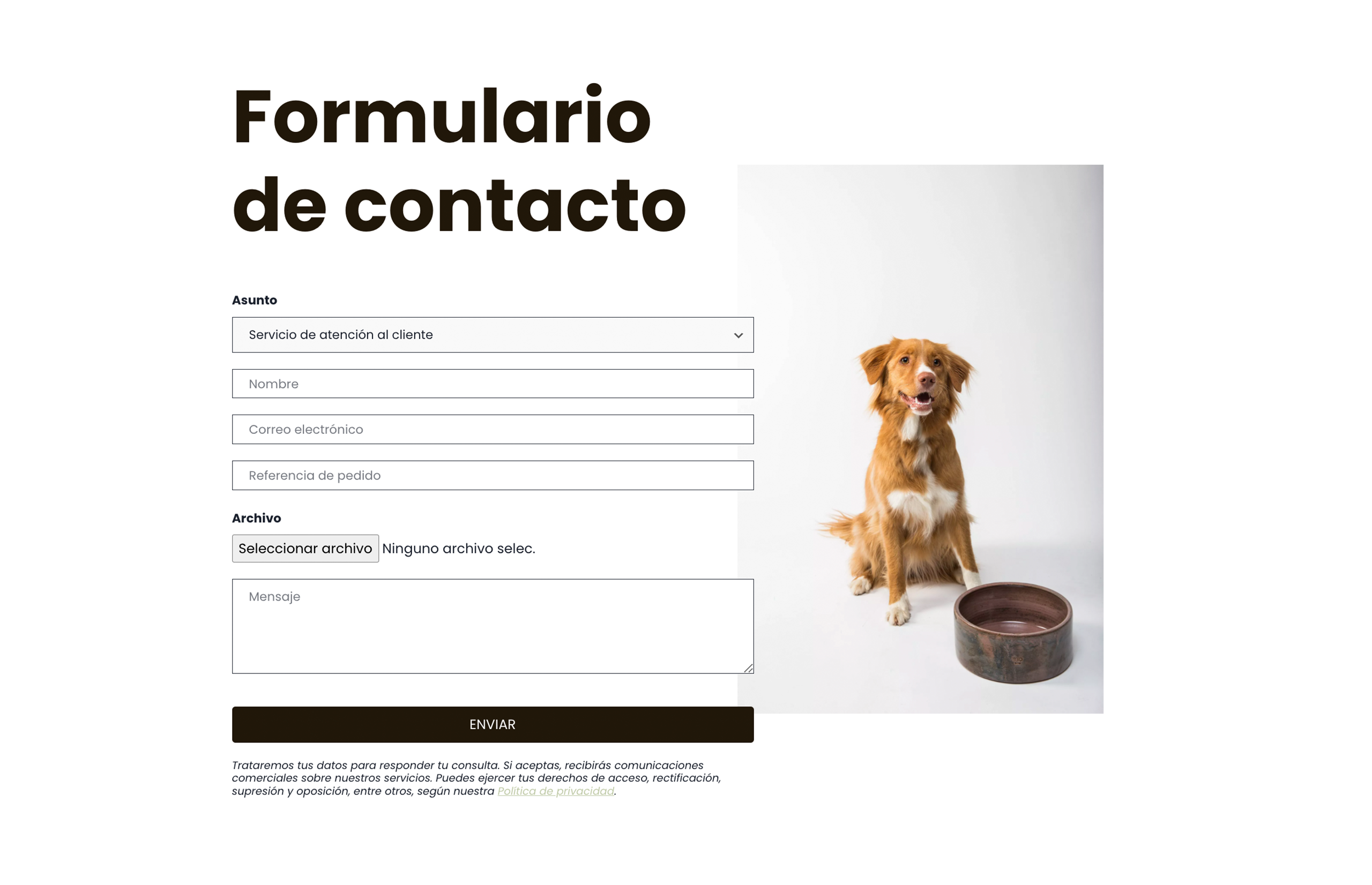 ▷ Ejemplo de página web para mascotas [A medida]