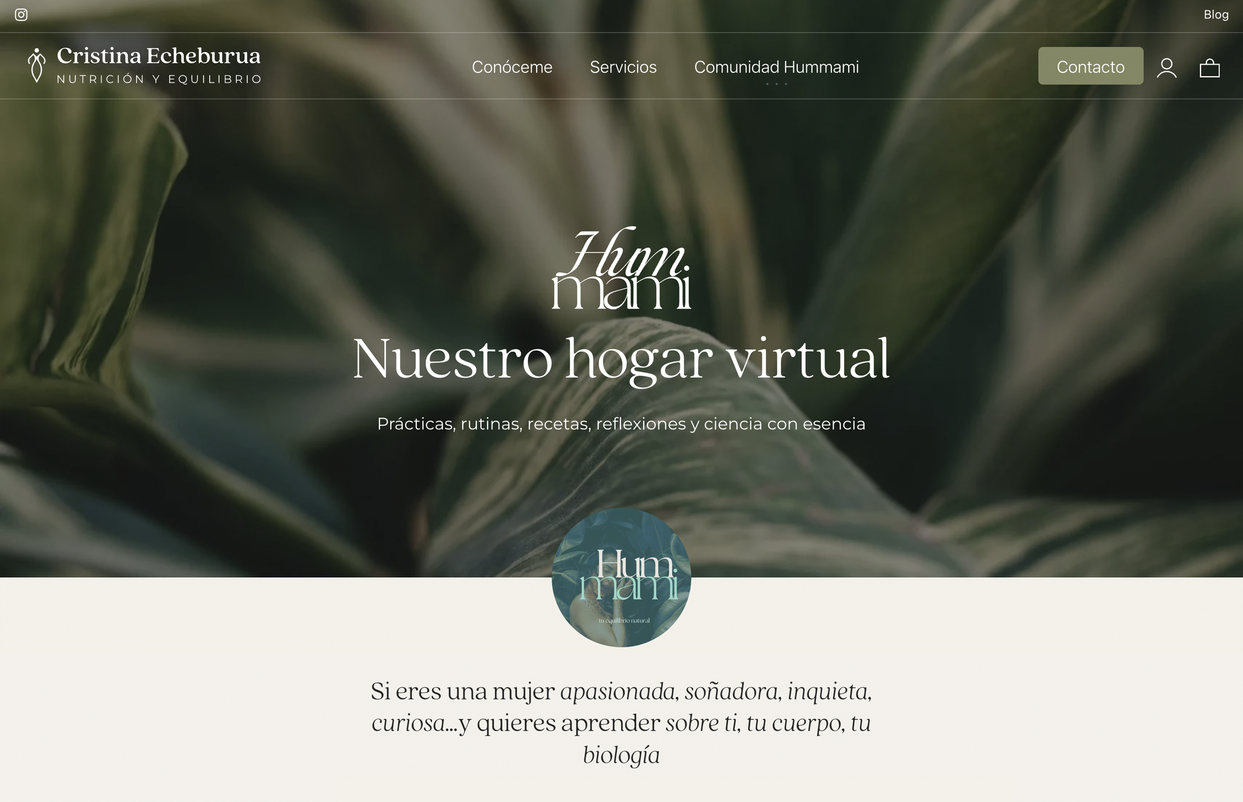 ▷ Ejemplo de página web para nutricionistas [A medida]