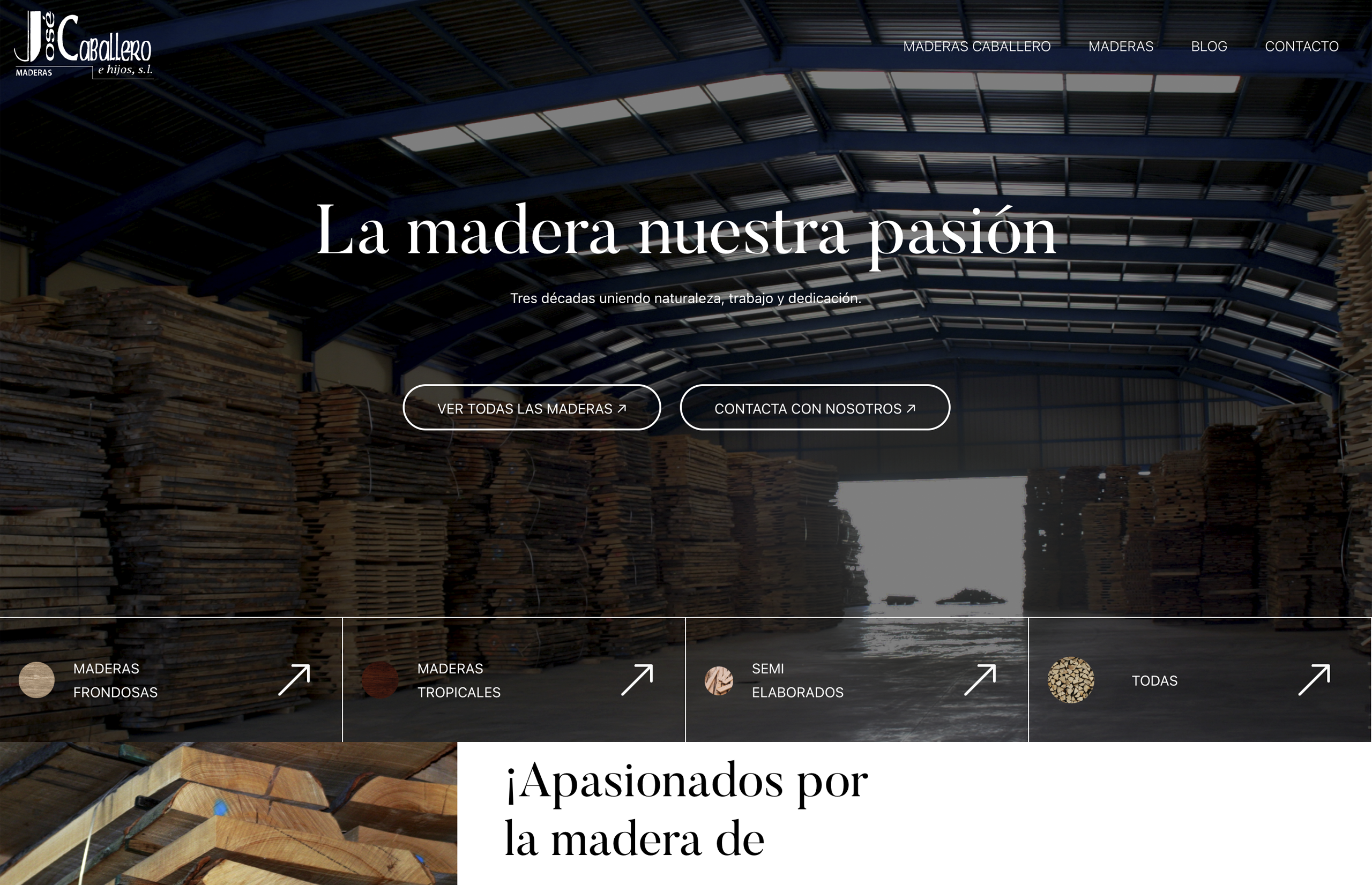 ▷ Ejemplo de página web para sector industrial [A medida]