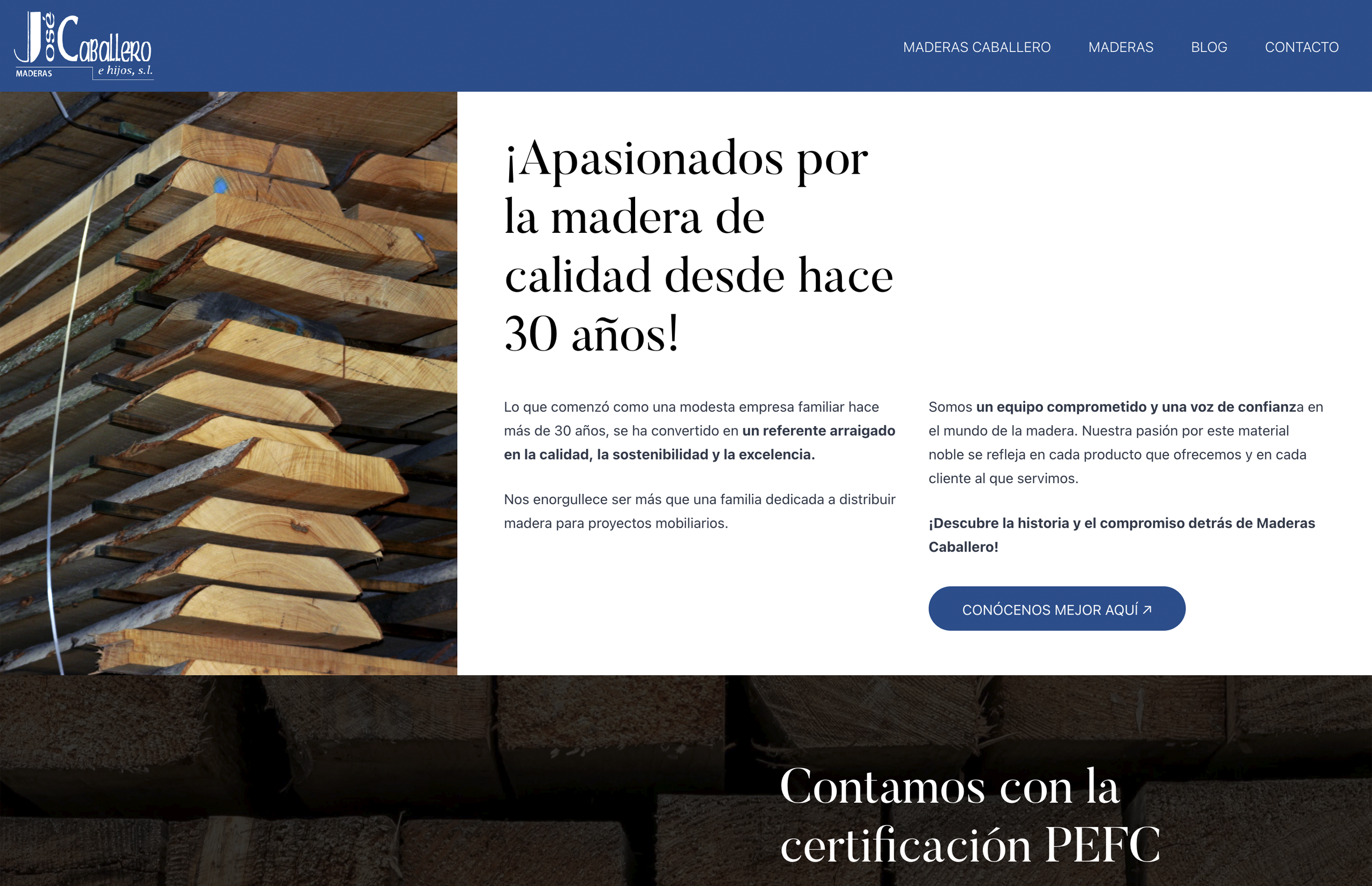 ▷ Ejemplo de página web para sector industrial [A medida]