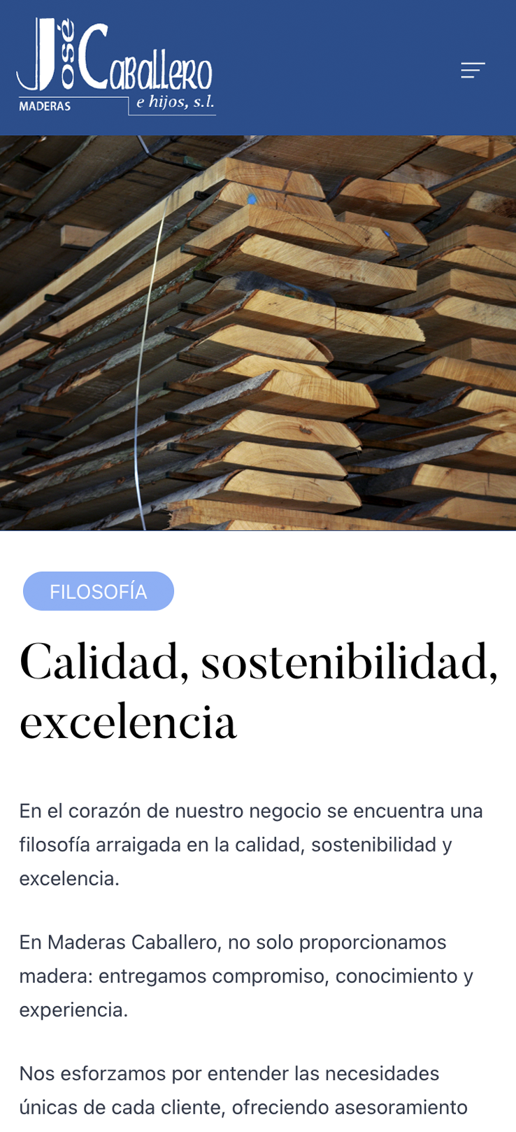 ▷ Ejemplo de página web para sector industrial [A medida]