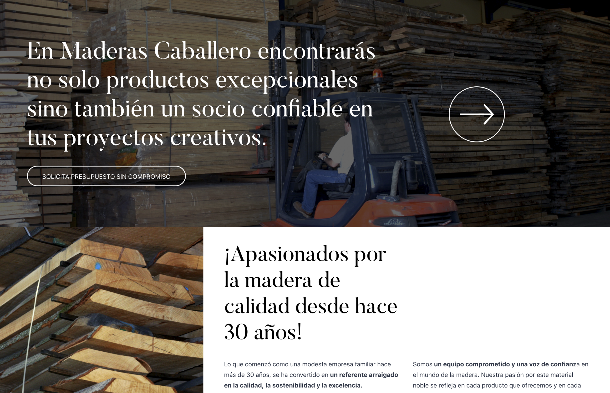 ▷ Ejemplo de página web para sector industrial [A medida]