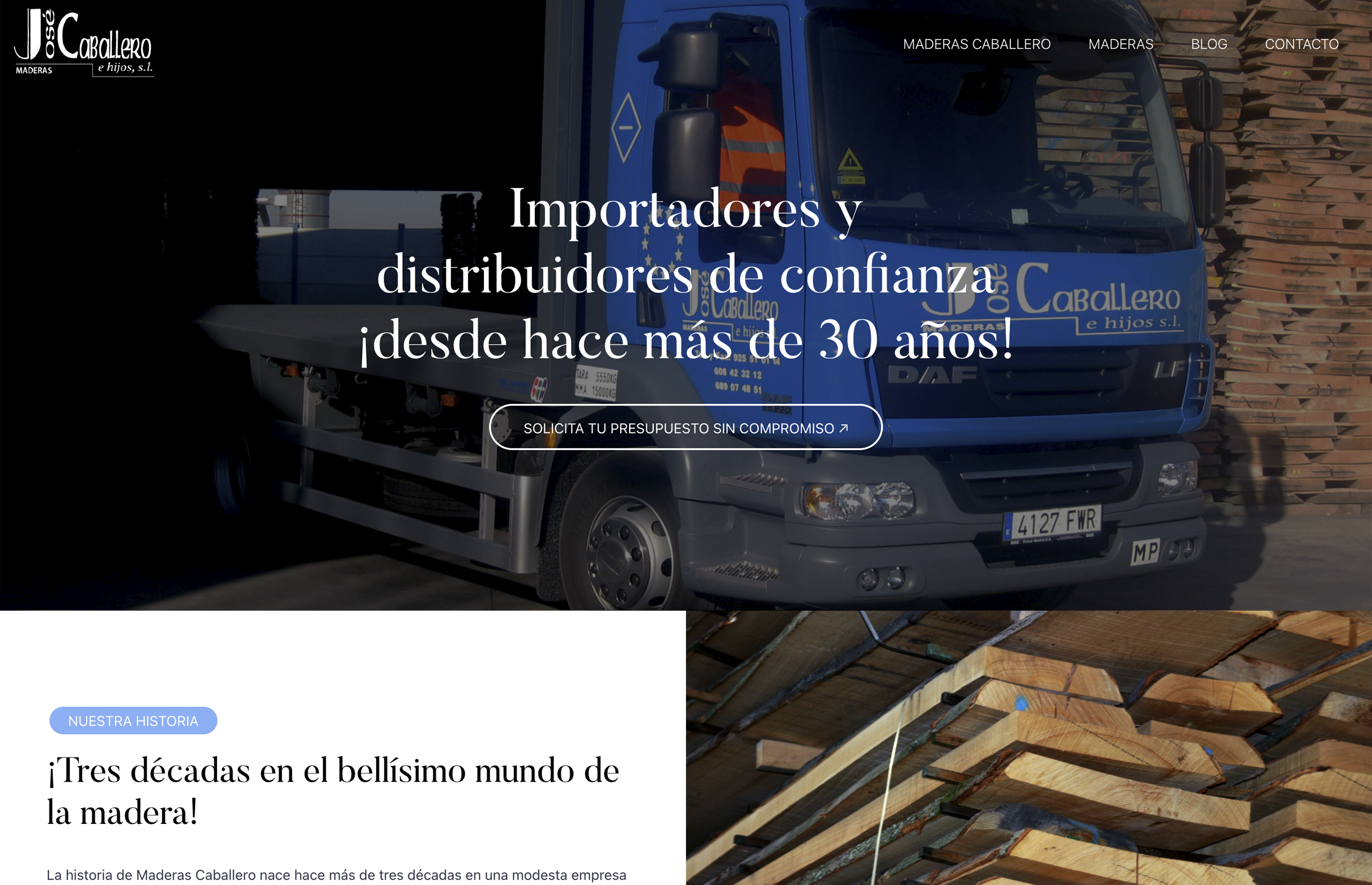 ▷ Ejemplo de página web para sector industrial [A medida]