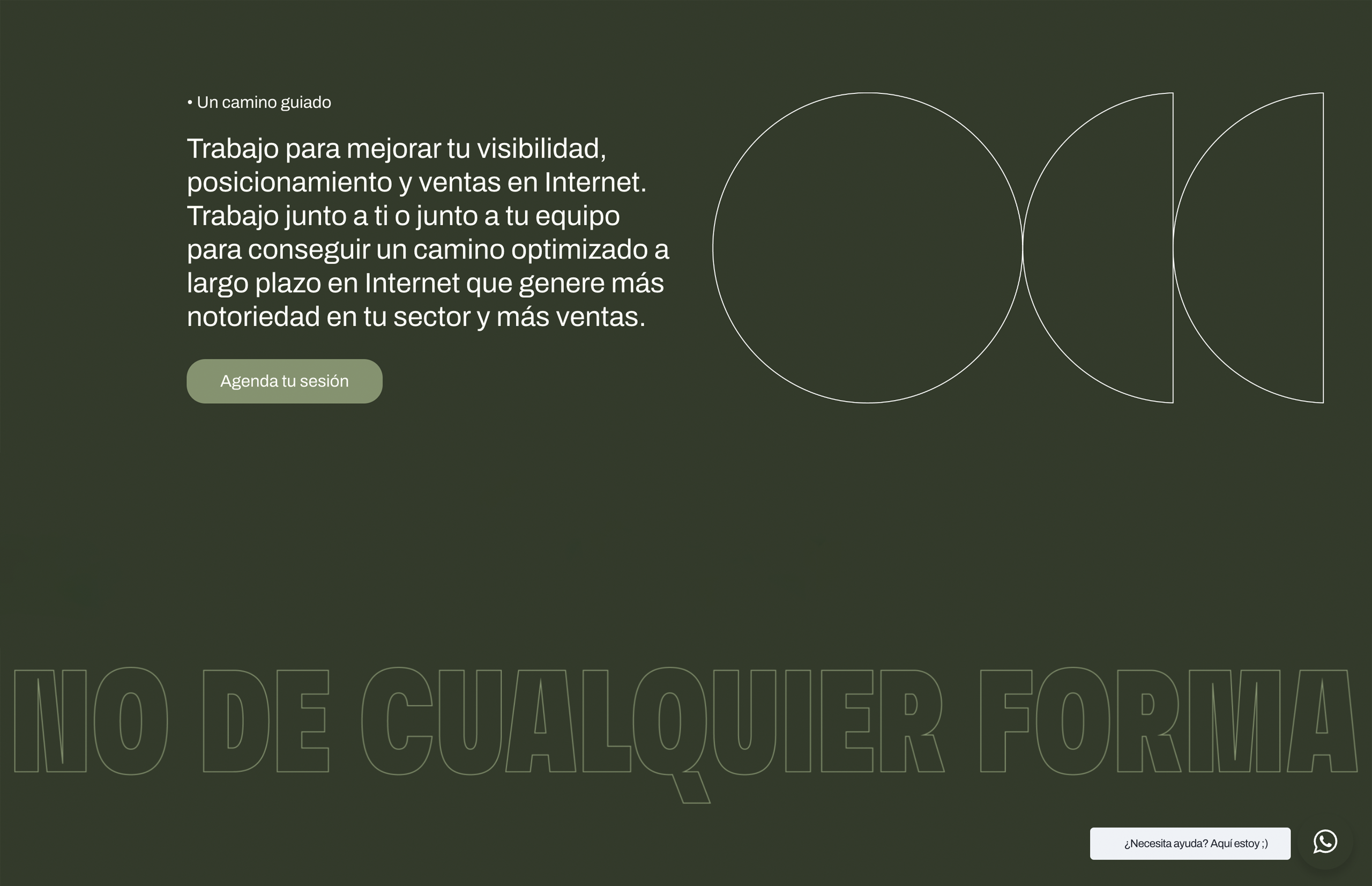 ▷ Ejemplo de página web para asesorías digitales [A medida]