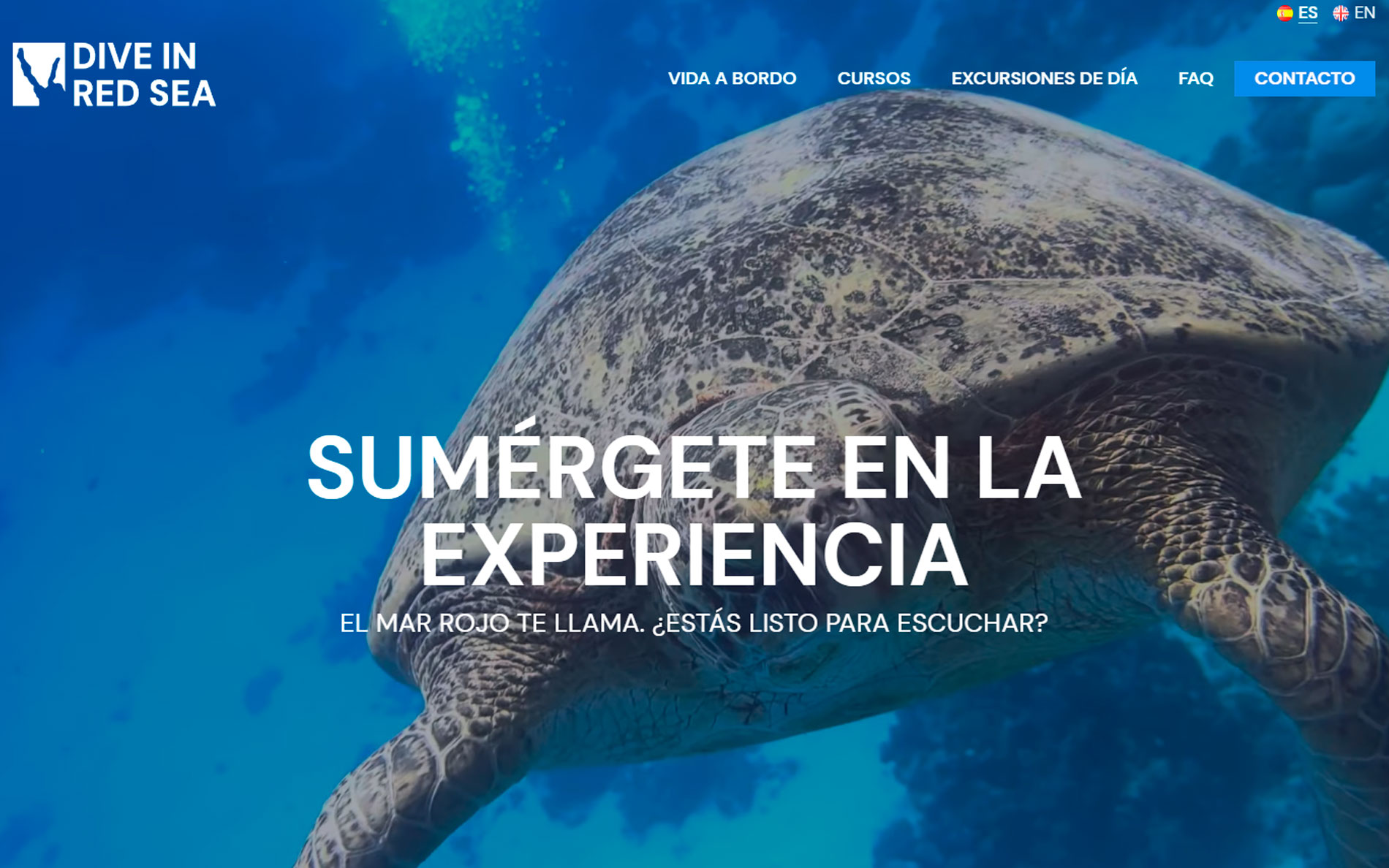 ▷ Ejemplo de página web para Buceo