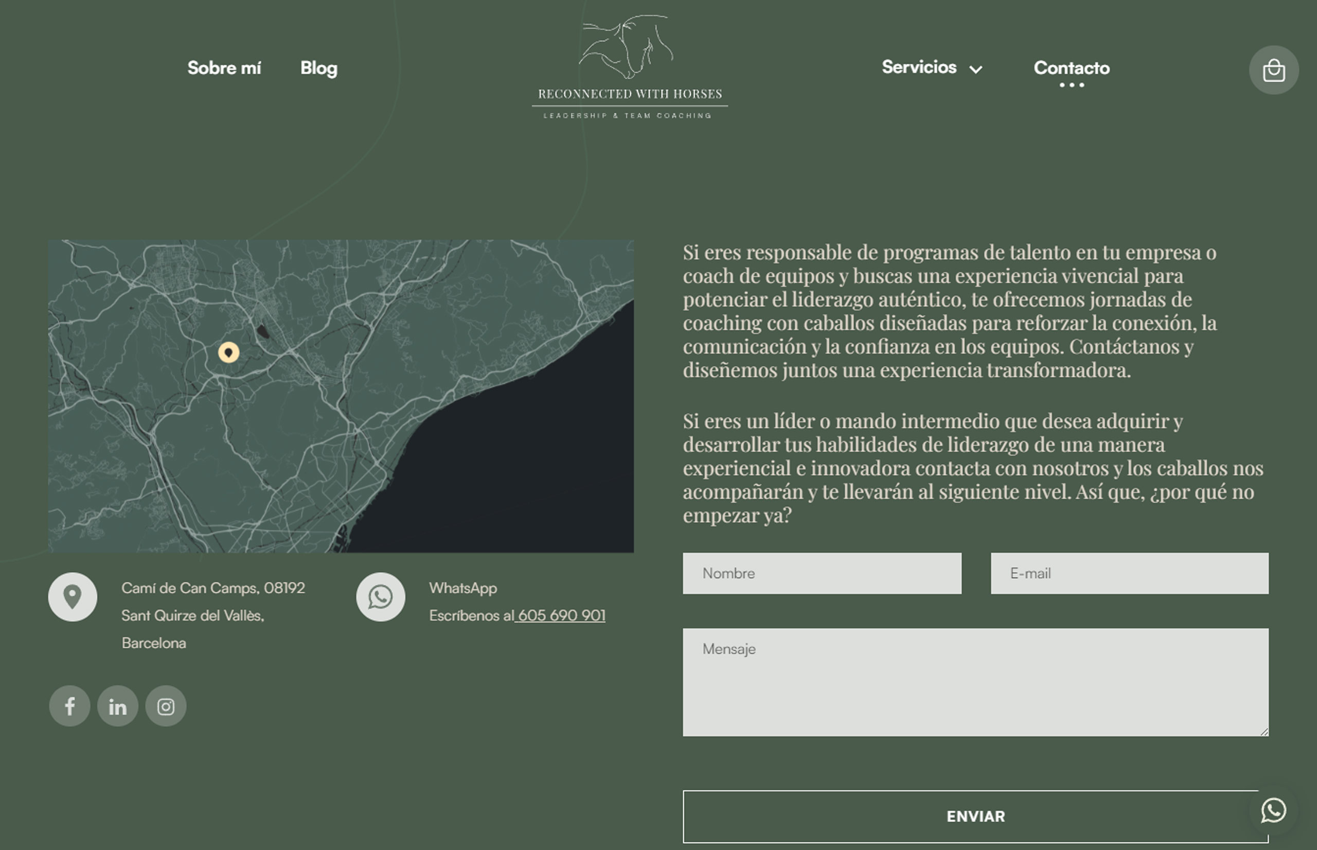 ▷ Ejemplo de página web para bienestar