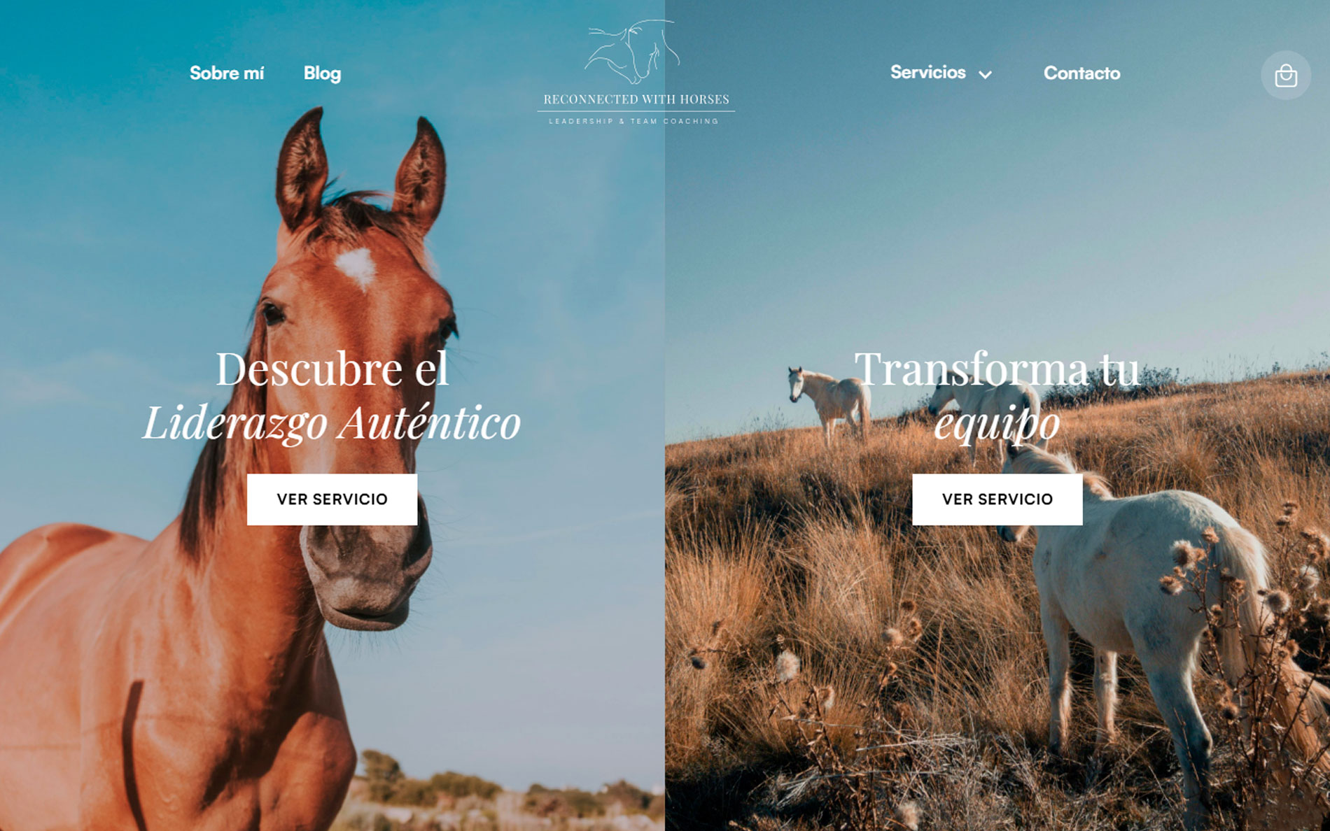 ▷ Ejemplo de página web para bienestar