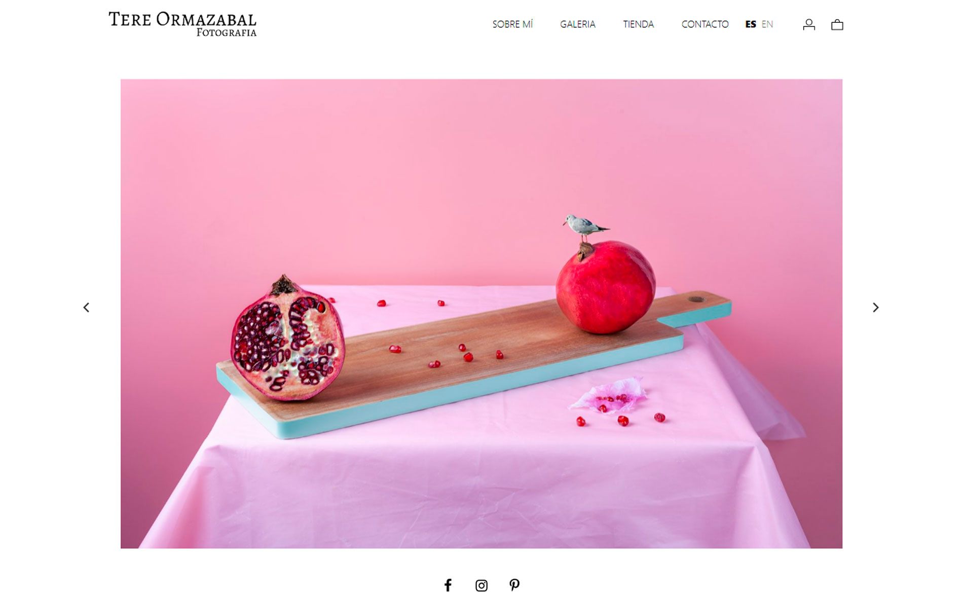 ▷ Ejemplo de página web para fotografía