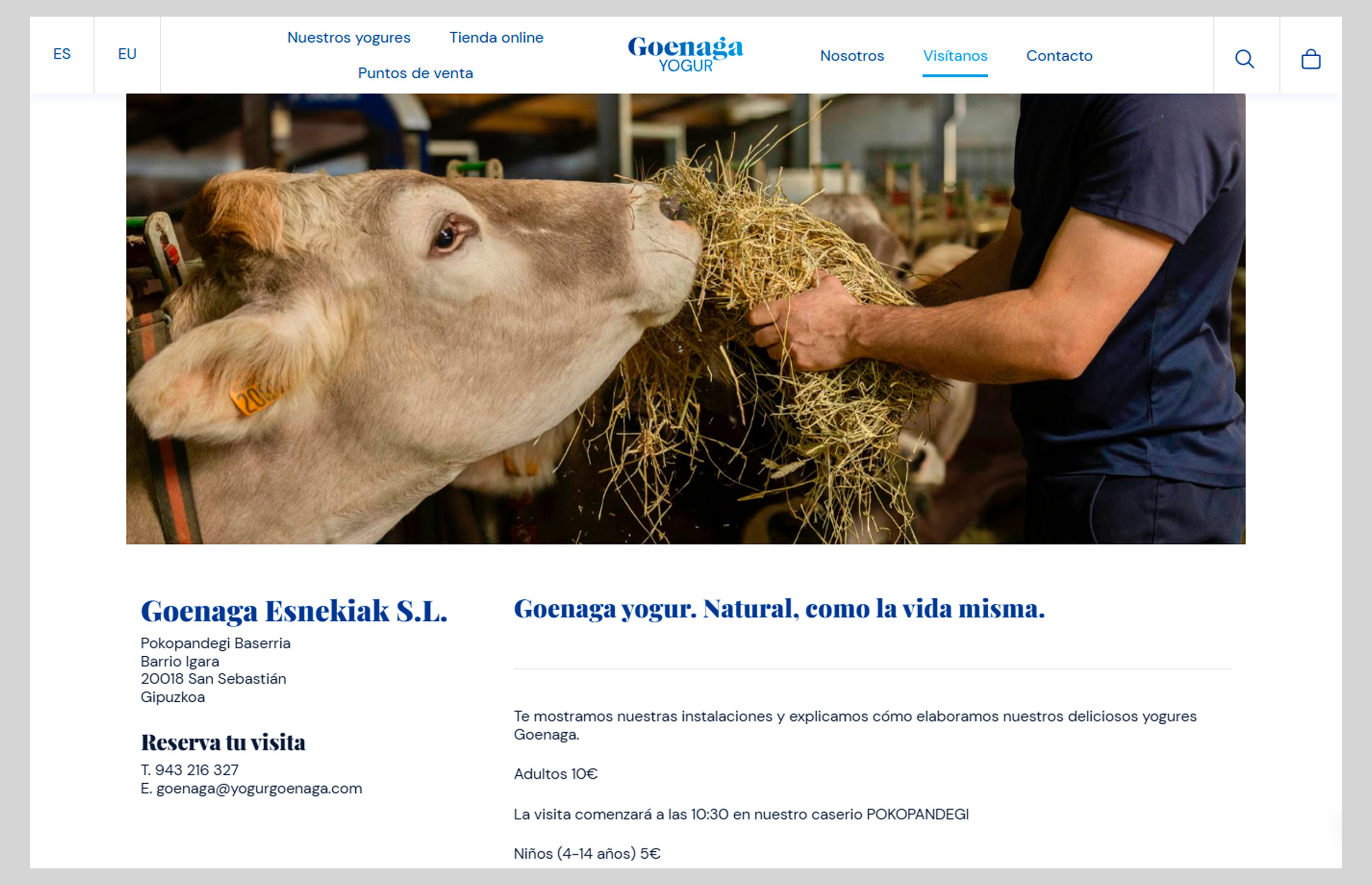 ▷ Ejemplo de página web para productos artesanales ▷ Ejemplo de página web para productos artesanales