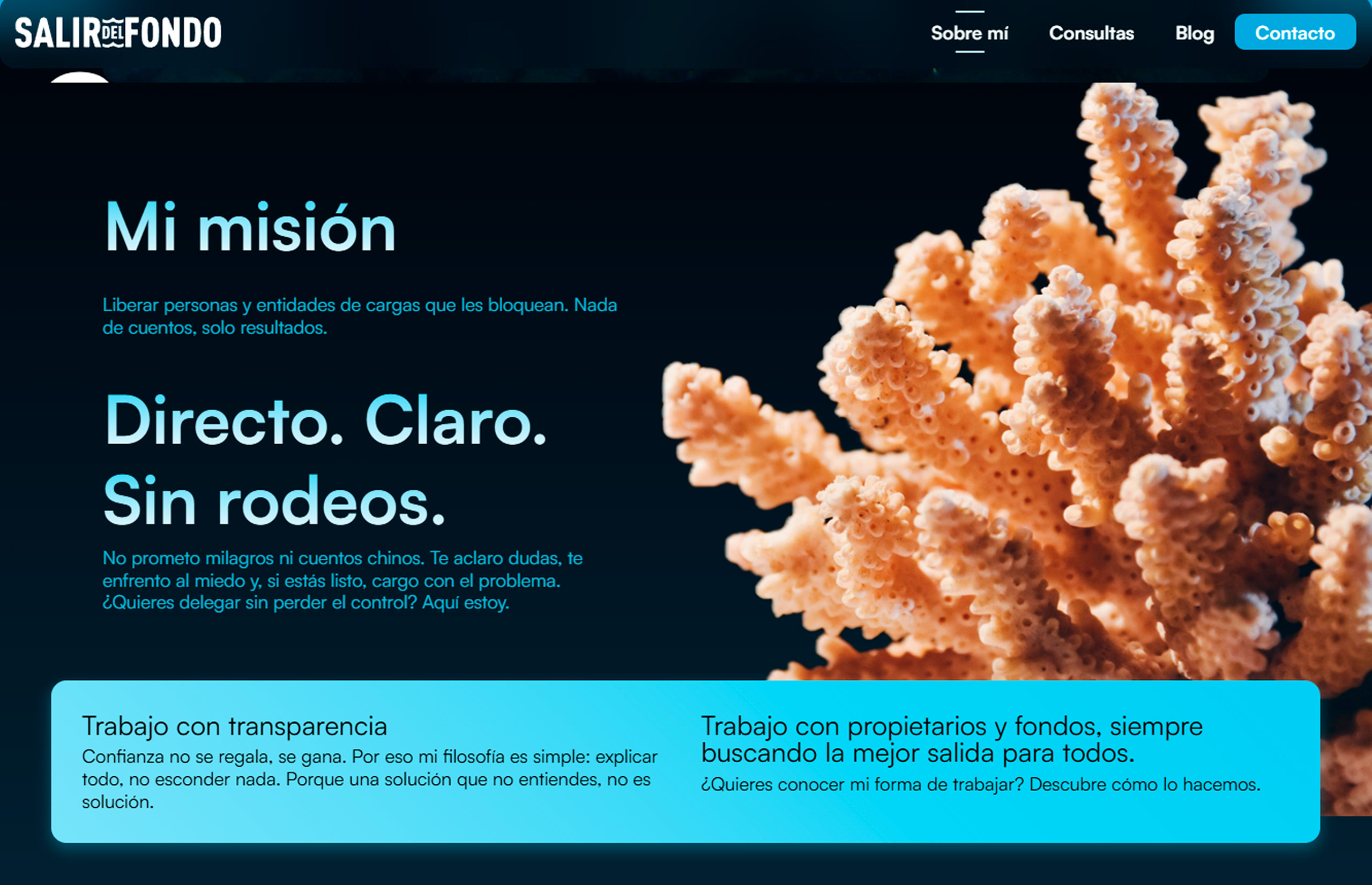 ▷ Ejemplo de página web para servicios de resolución de conflictos inmobiliarios ▷ Ejemplo de página web para servicios de resolución de conflictos inmobiliarios