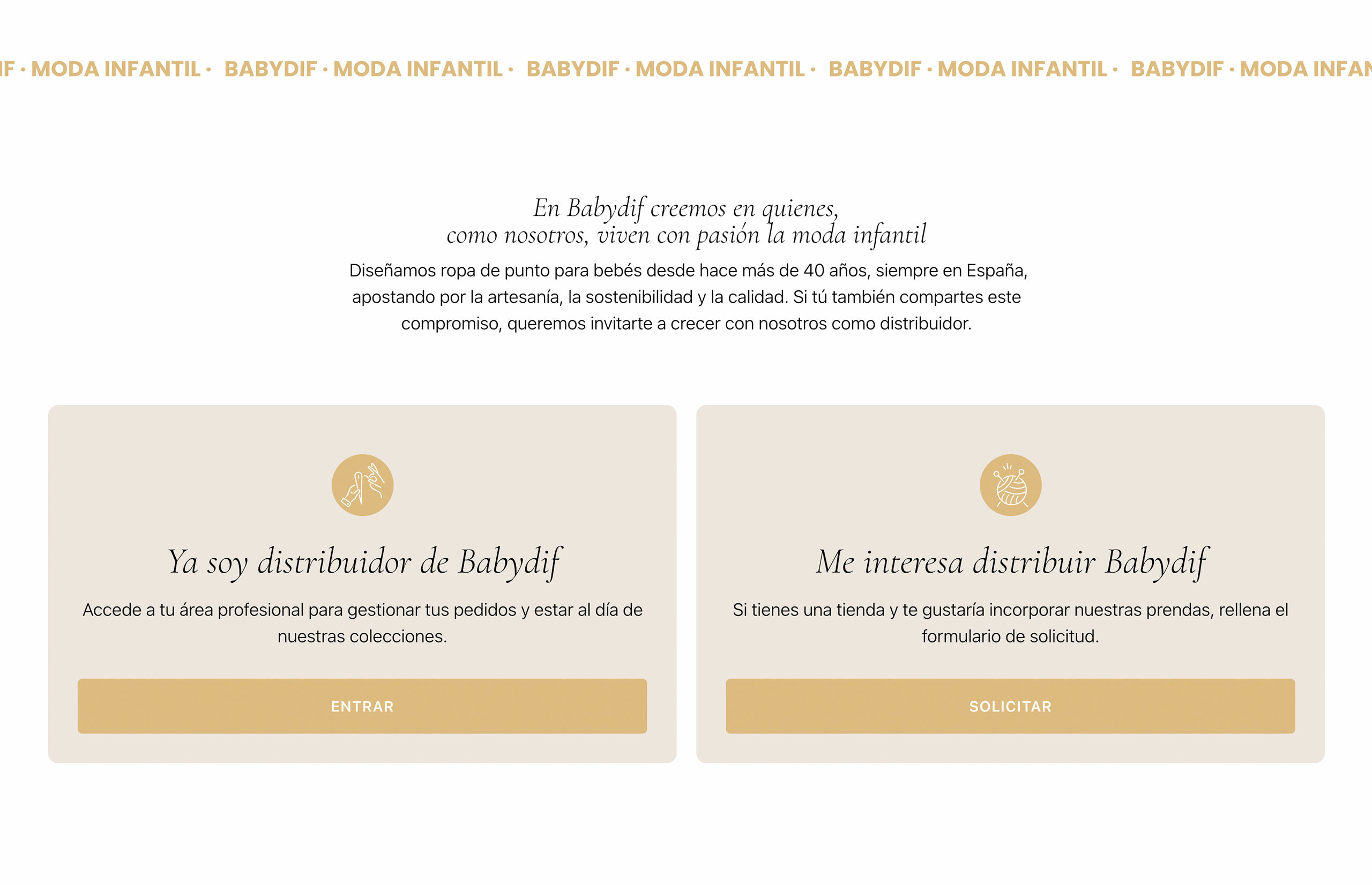 ▷ Ejemplo de página web para moda infantil