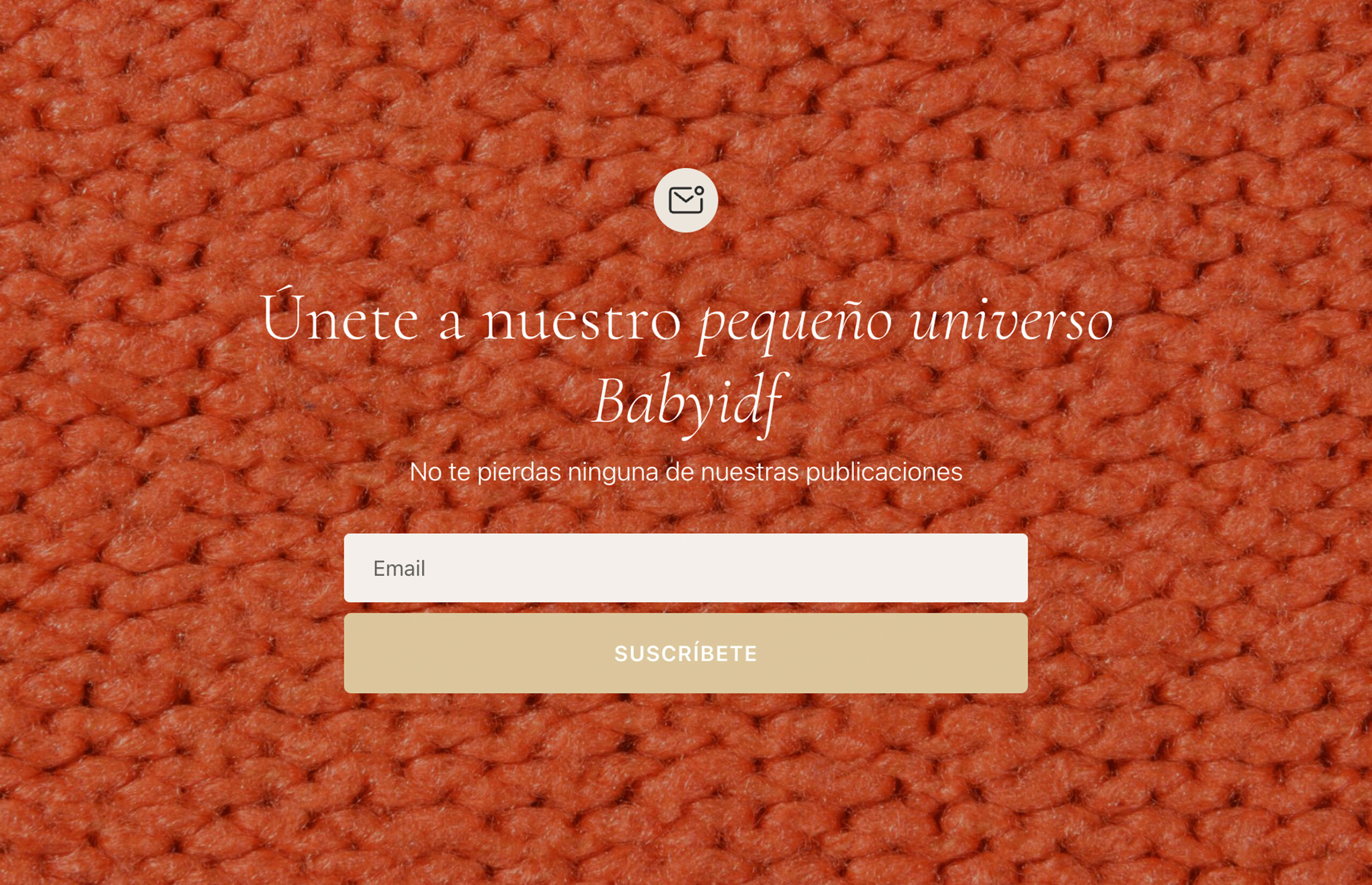▷ Ejemplo de página web para moda infantil