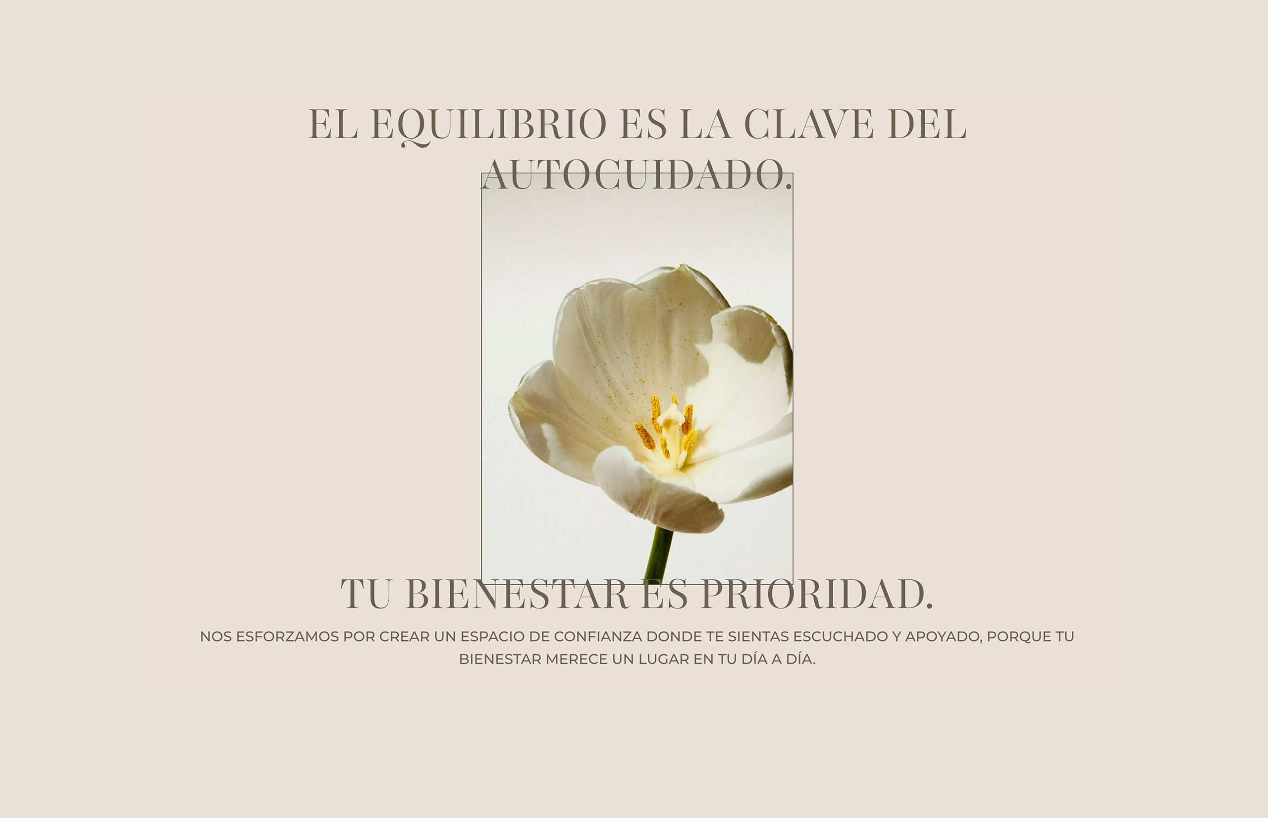 ▷ Ejemplo de página web para nutricionistas [A medida]