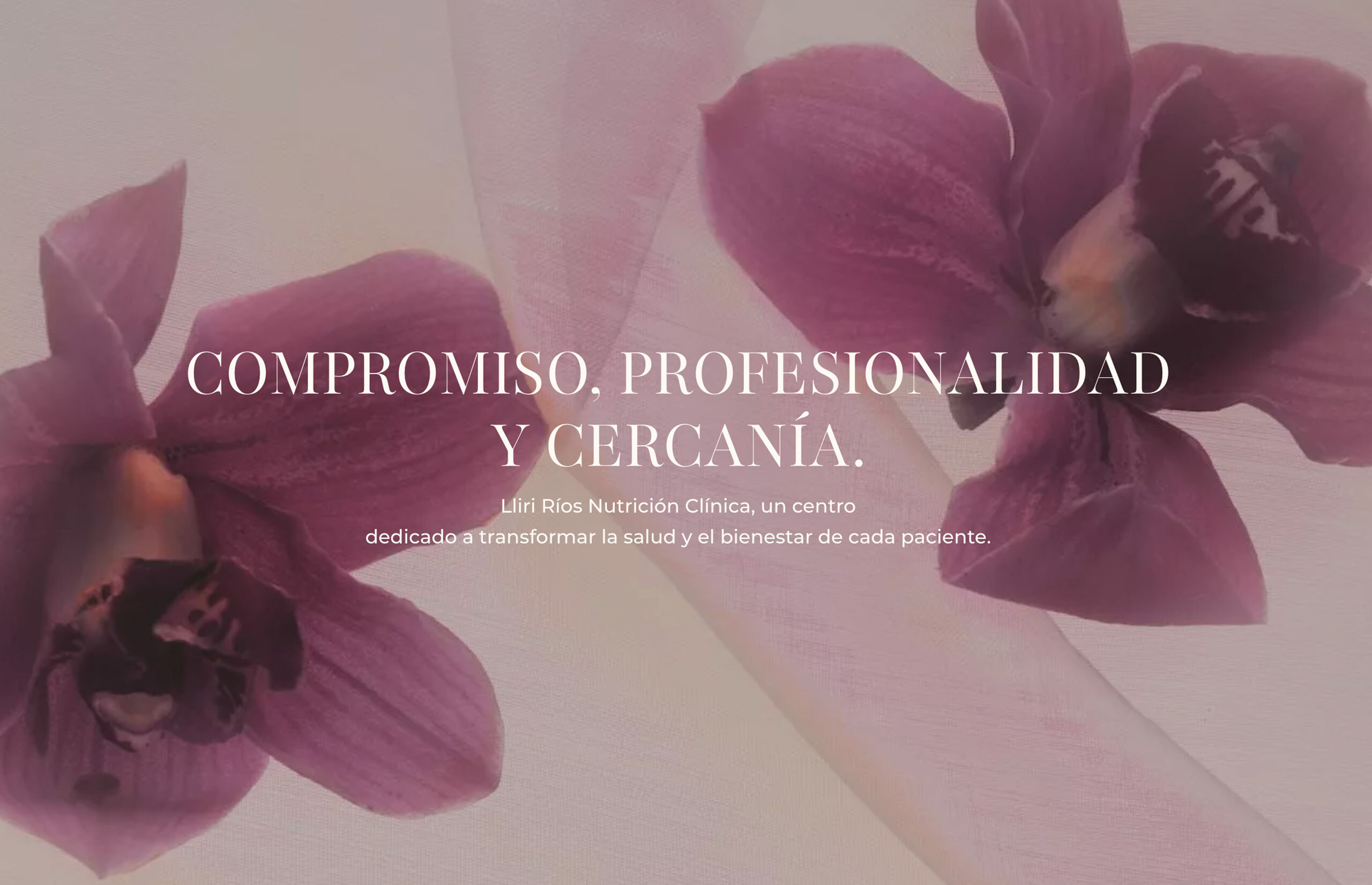 ▷ Ejemplo de página web para nutricionistas [A medida]