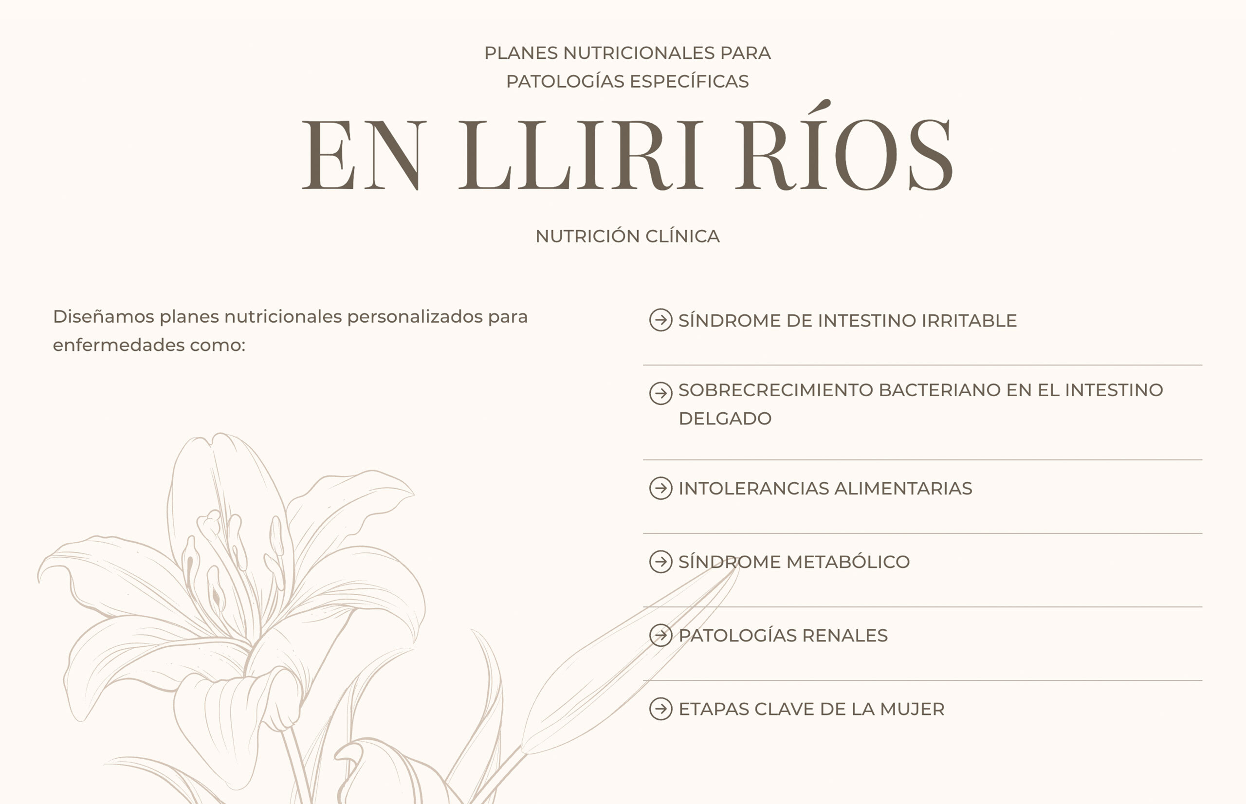 ▷ Ejemplo de página web para nutricionistas [A medida]