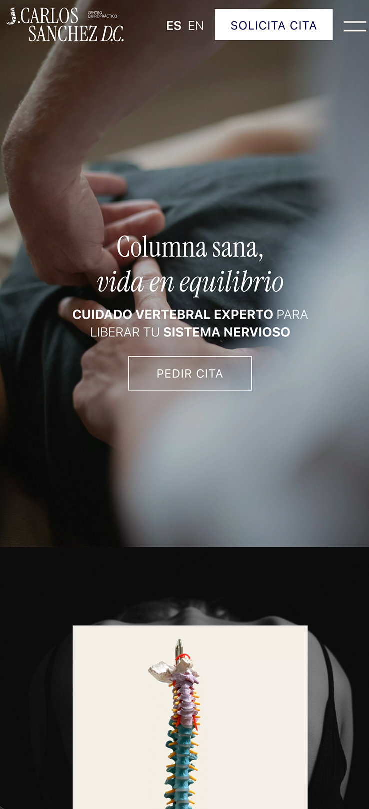▷ Ejemplo de página web para quiroprácticos [A medida]