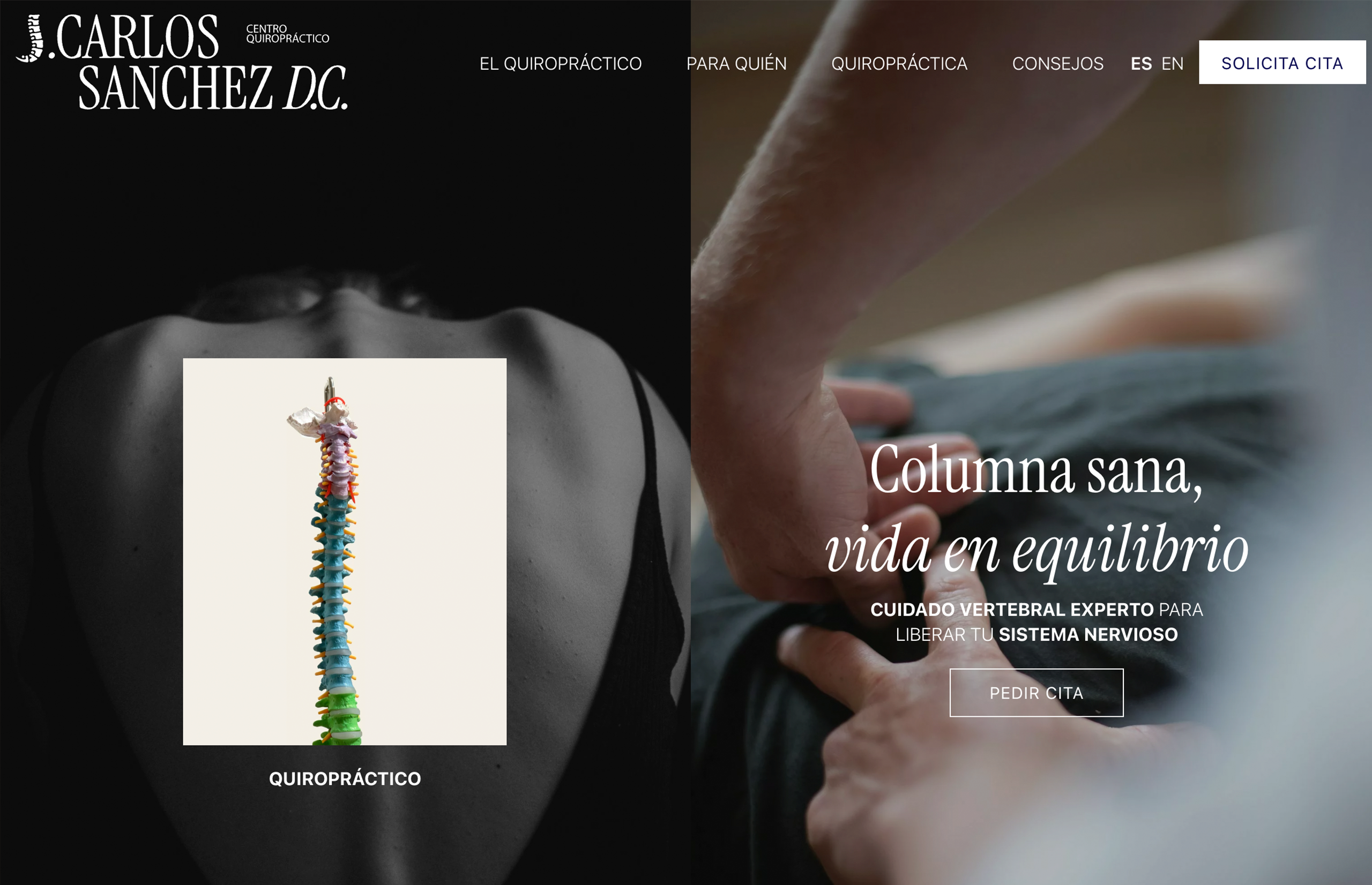 ▷ Ejemplo de página web para quiroprácticos [A medida]