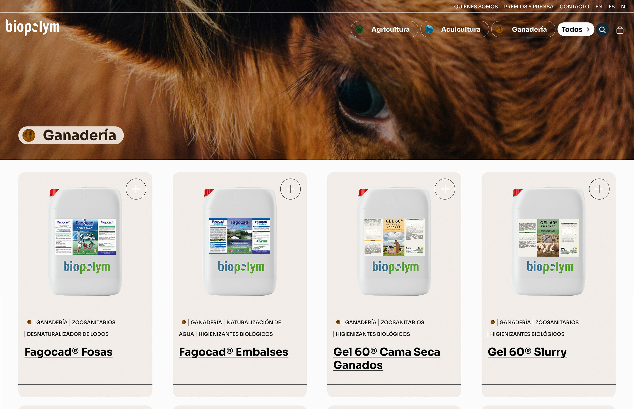 ▷ Ejemplo de página web para tienda biotecnológica [A medida]