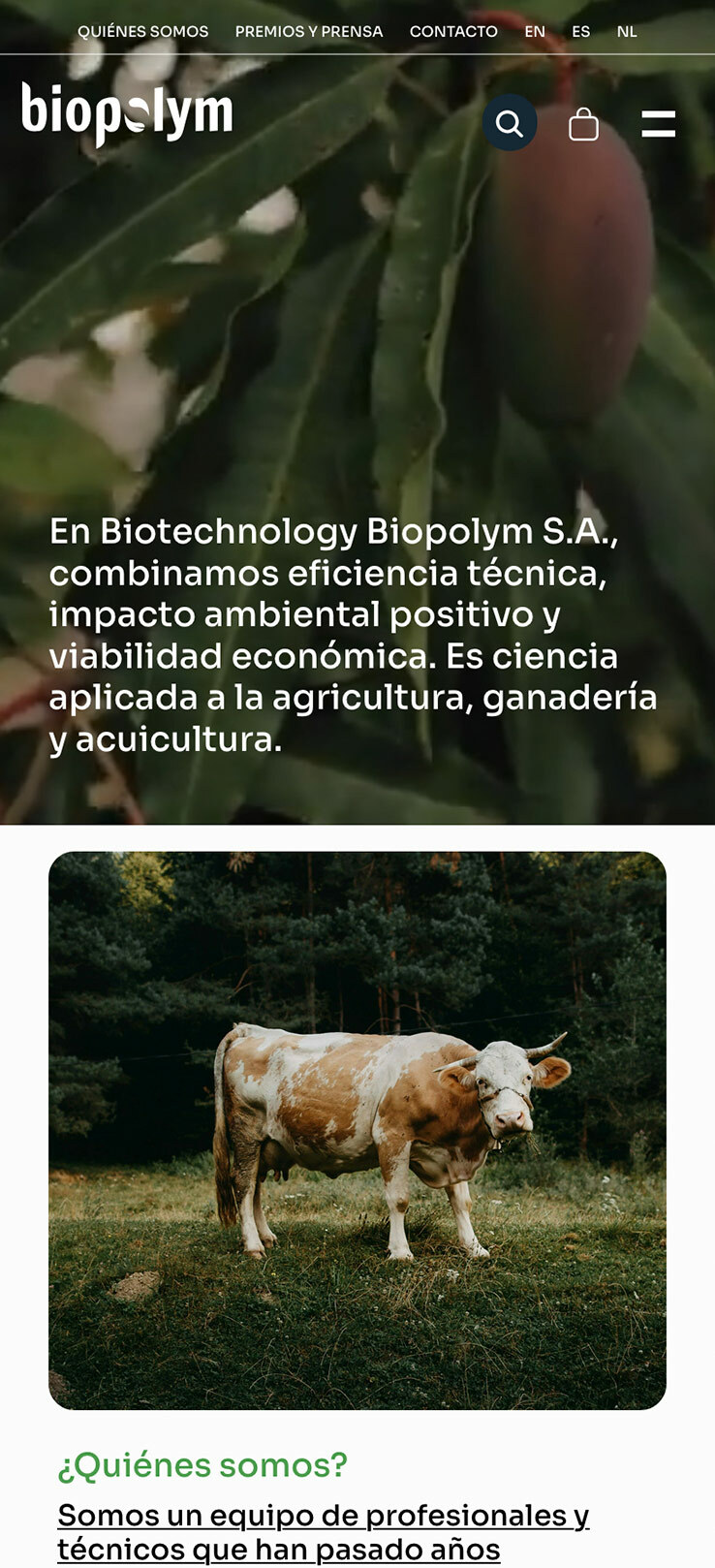 ▷ Ejemplo de página web para tienda biotecnológica [A medida]