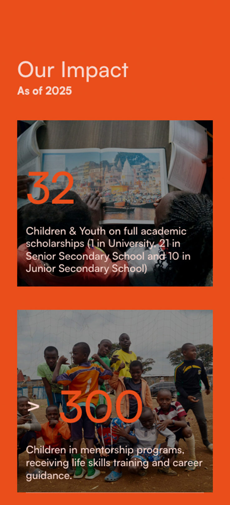 ▷ Ejemplo de página web para Fundación sin ánimo de lucro [A medida]