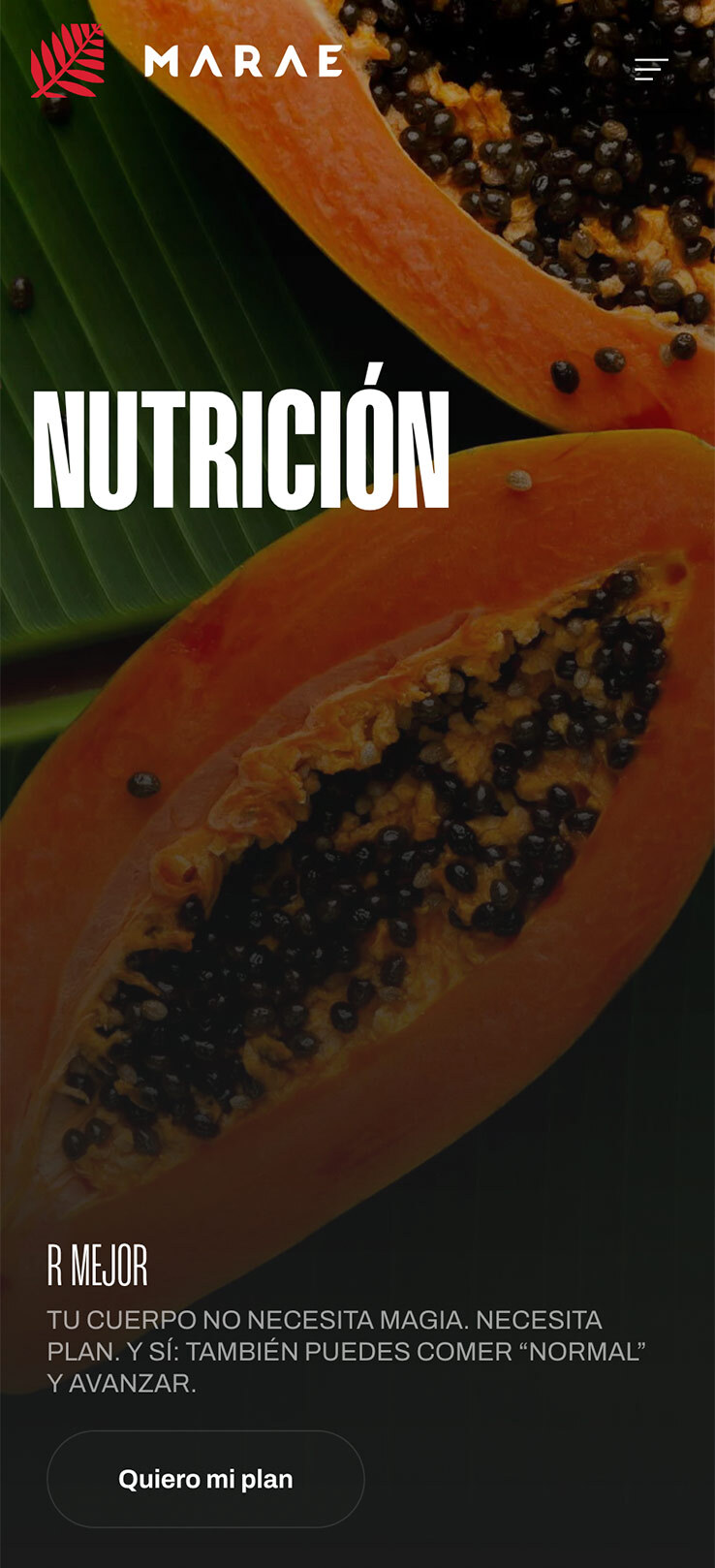 ▷ Ejemplo de página web para Gimnasio [A medida]