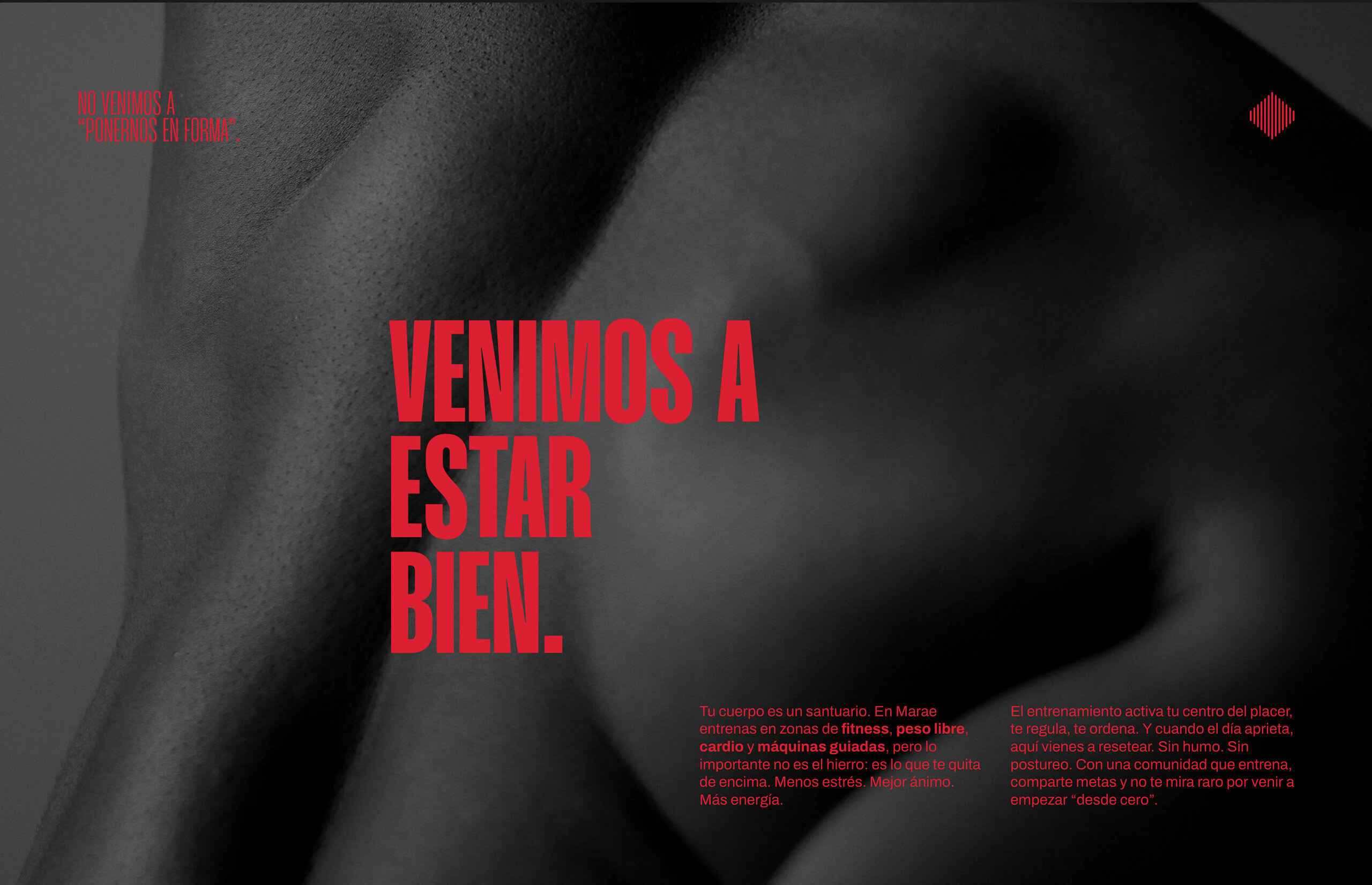 ▷ Ejemplo de página web para Gimnasio [A medida]