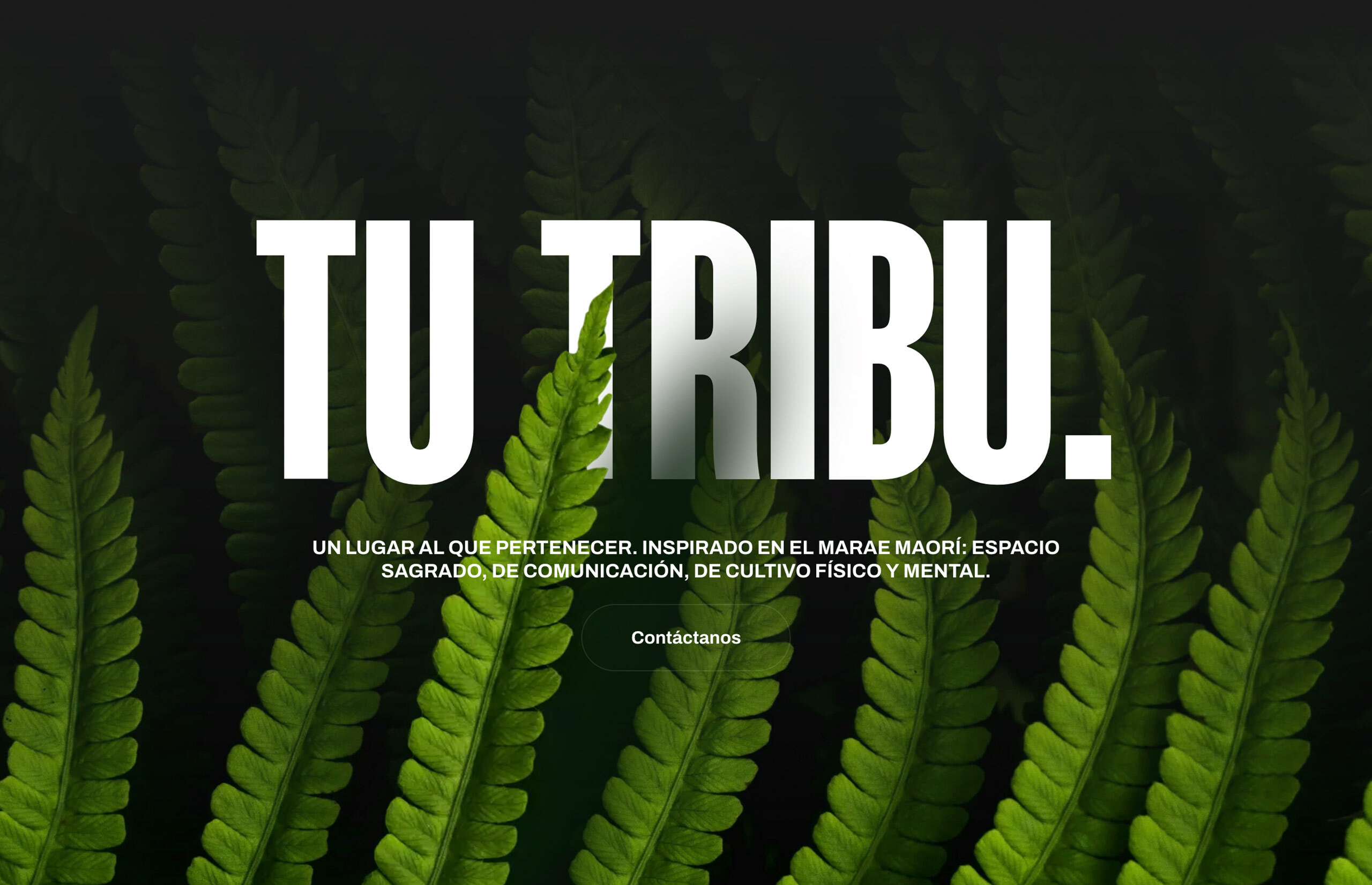 ▷ Ejemplo de página web para Gimnasio [A medida]