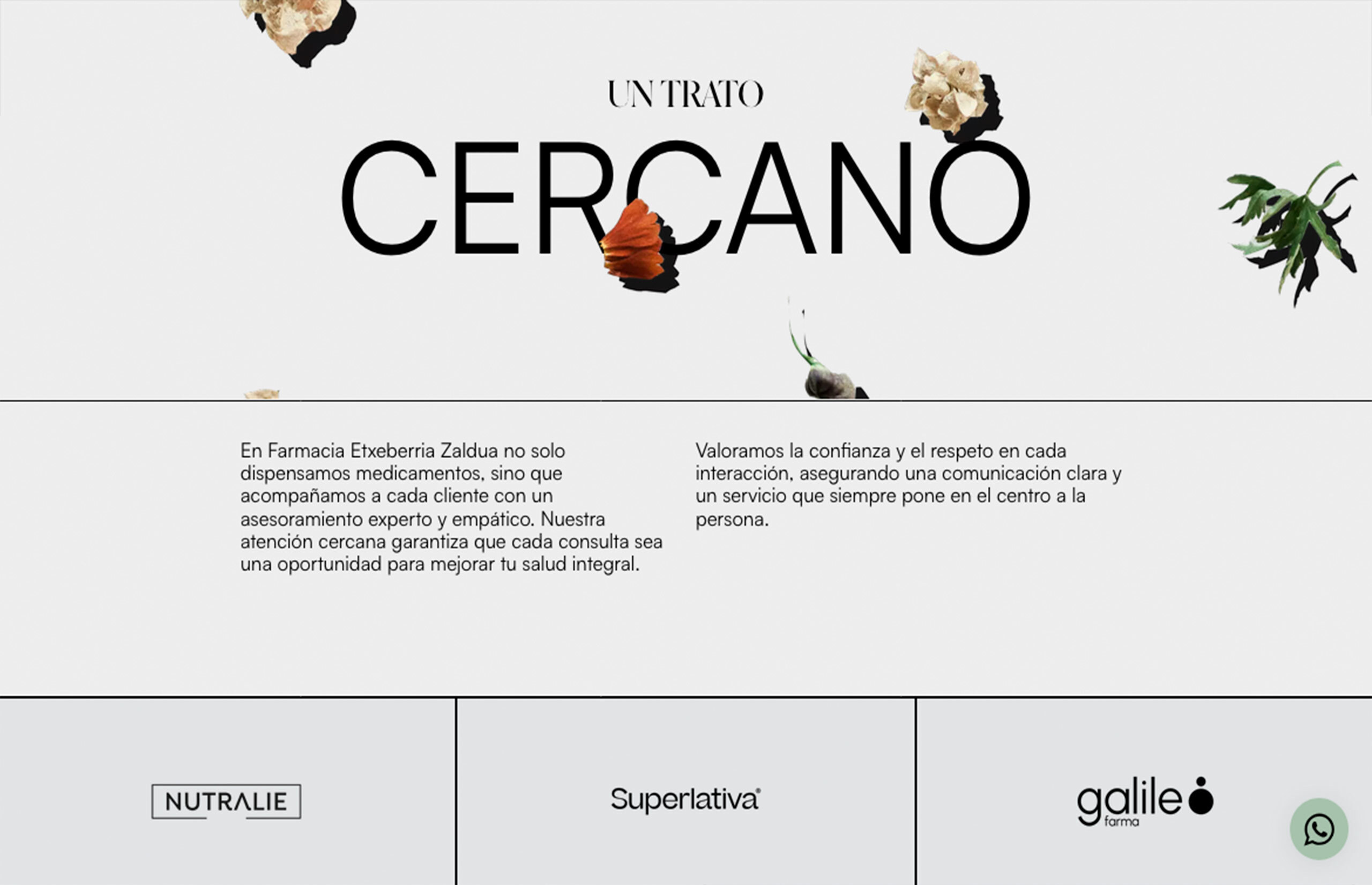 ▷ Ejemplo de página web para Farmacia[A medida]