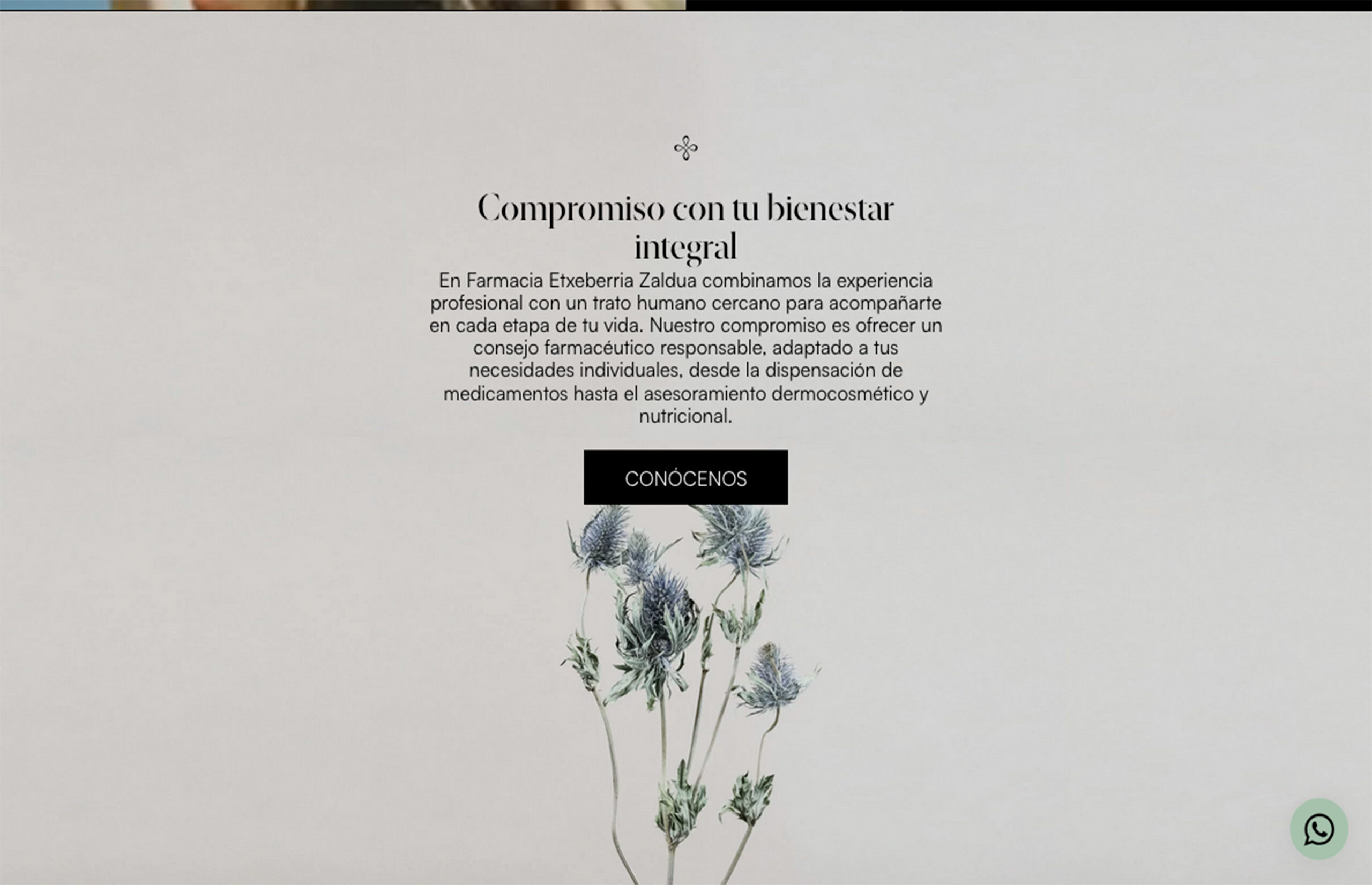 ▷ Ejemplo de página web para Farmacia[A medida]