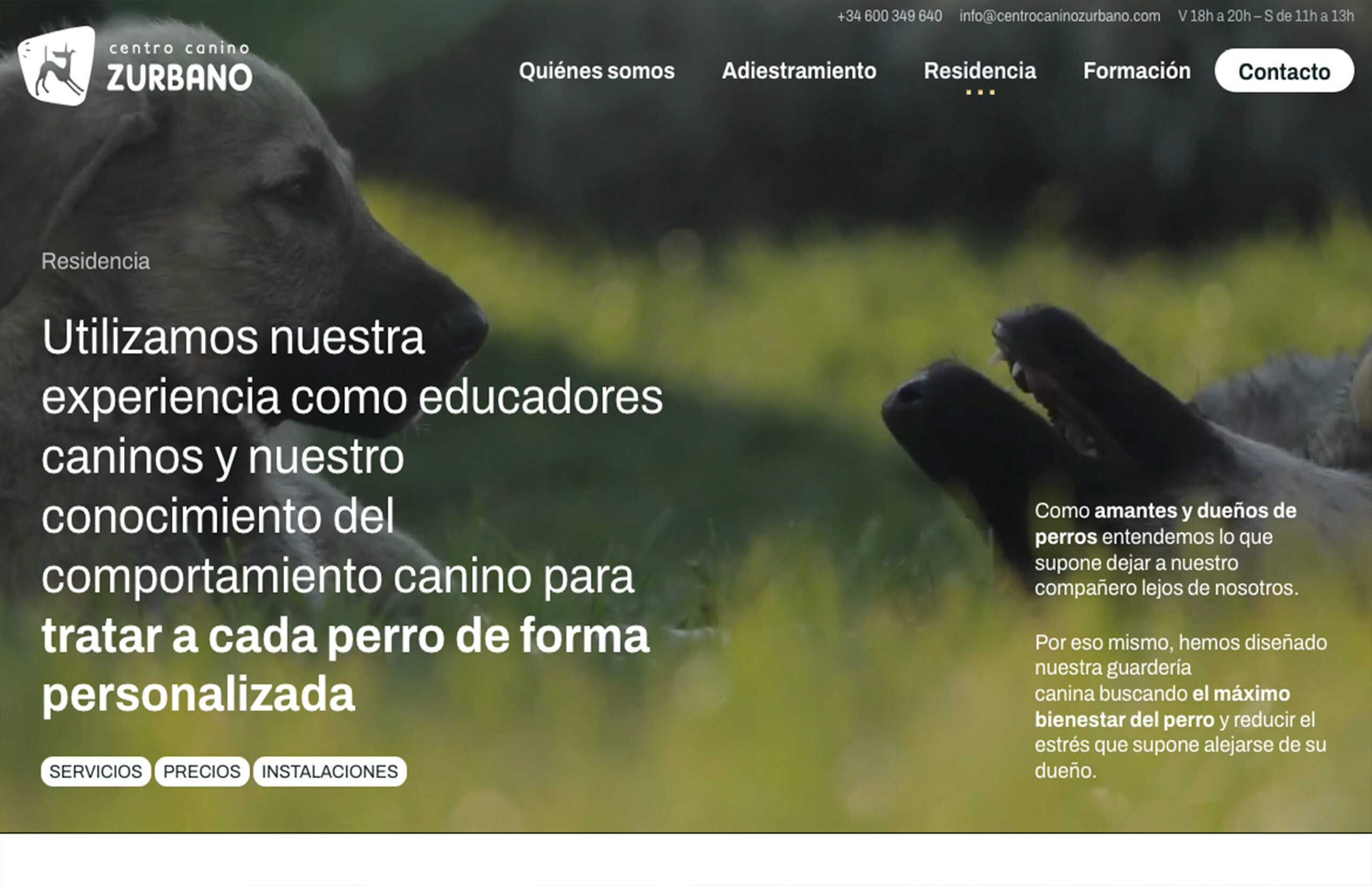 ▷ Ejemplo de página web para Centro Canino [A medida]