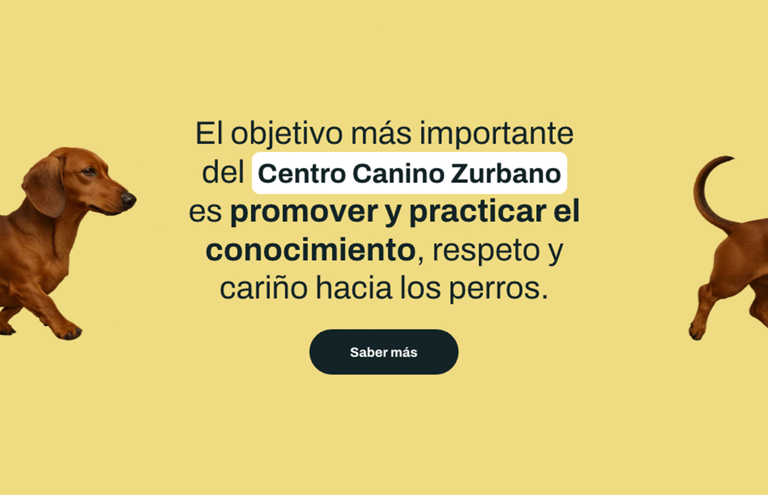 ▷ Ejemplo de página web para Centro Canino [A medida]