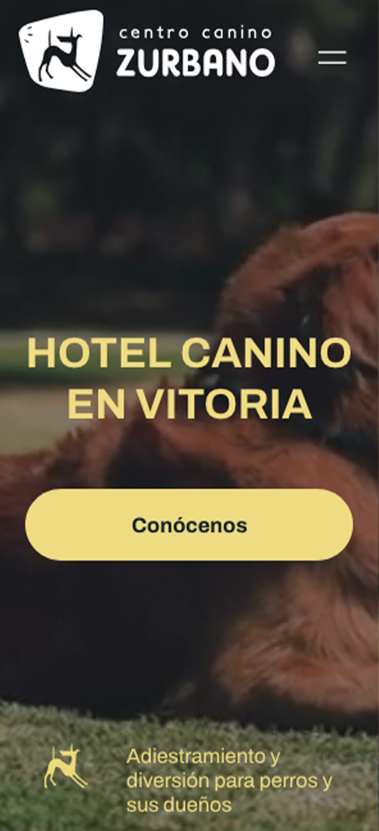 ▷ Ejemplo de página web para Centro Canino [A medida]